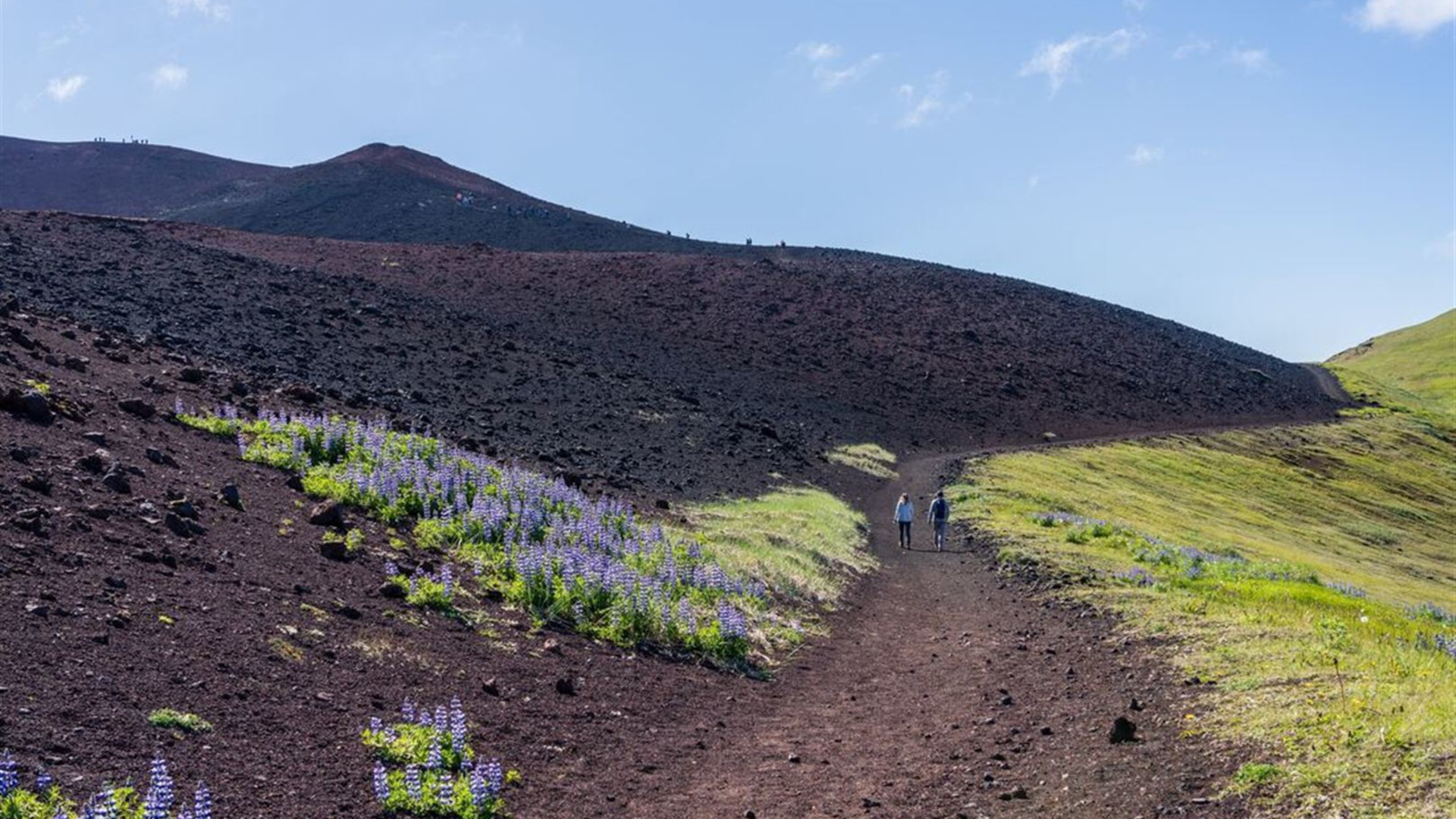 Highlights of Iceland (Ocean Victory) 