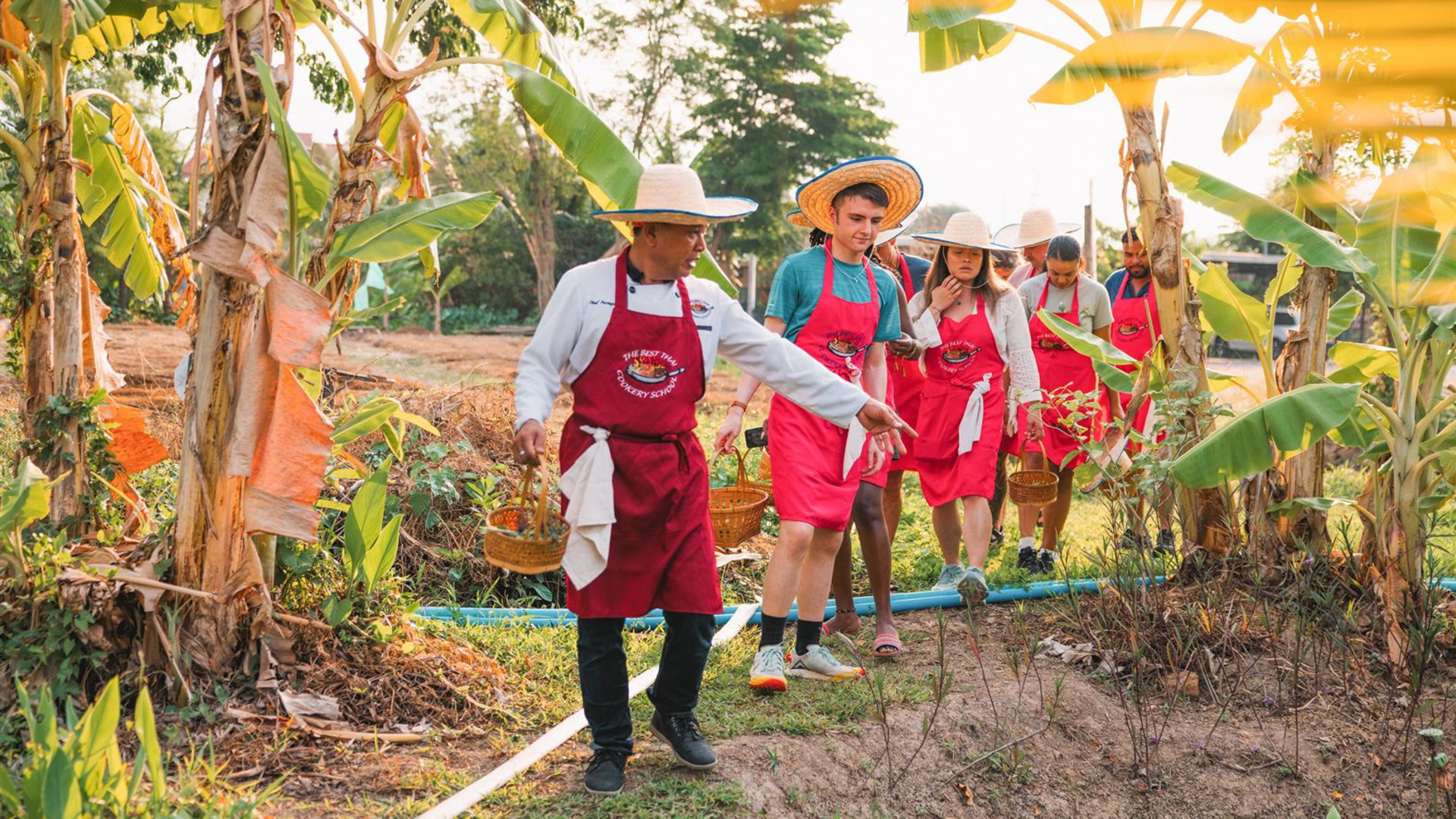 Northern Thai Highlights