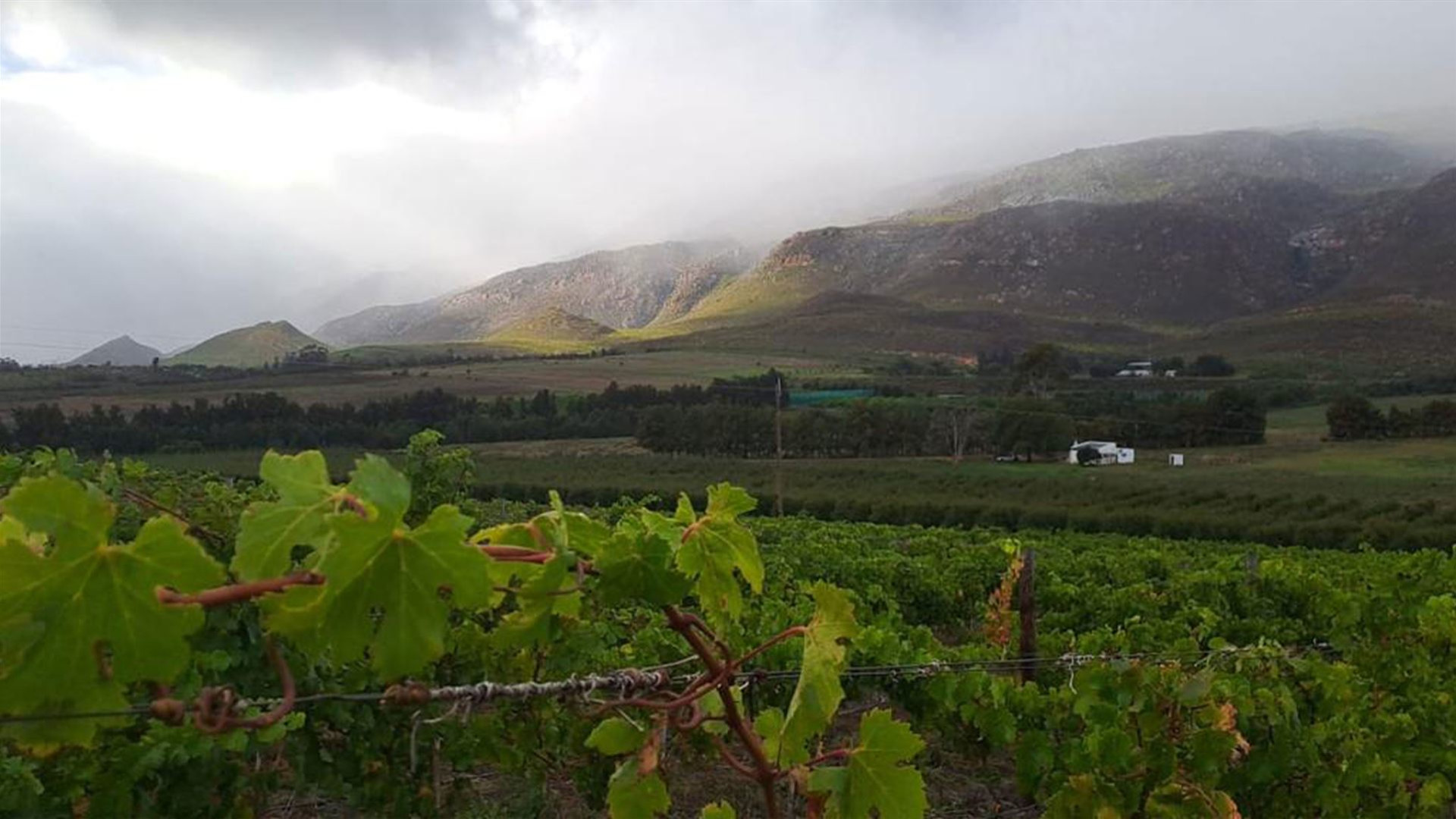 South Africa: Cape Town & The Garden Route