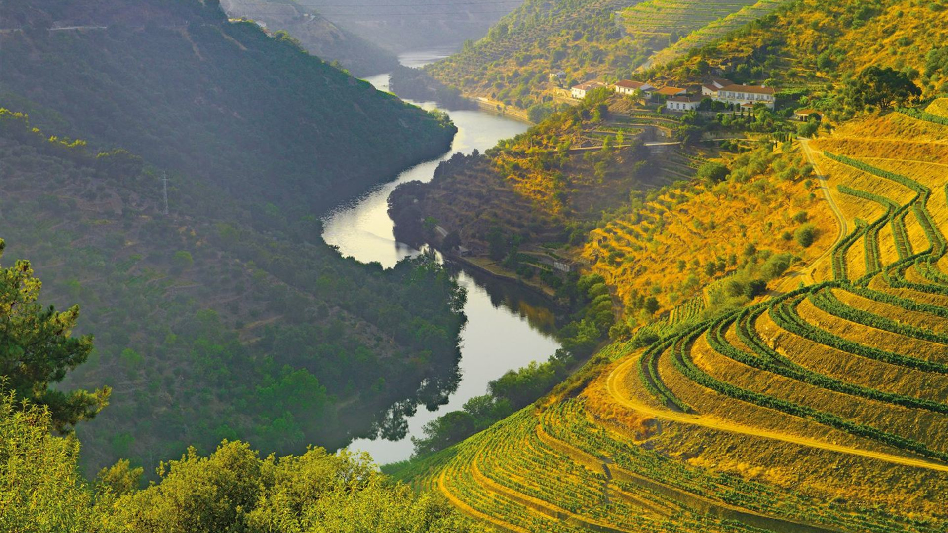 Country Roads of Portugal