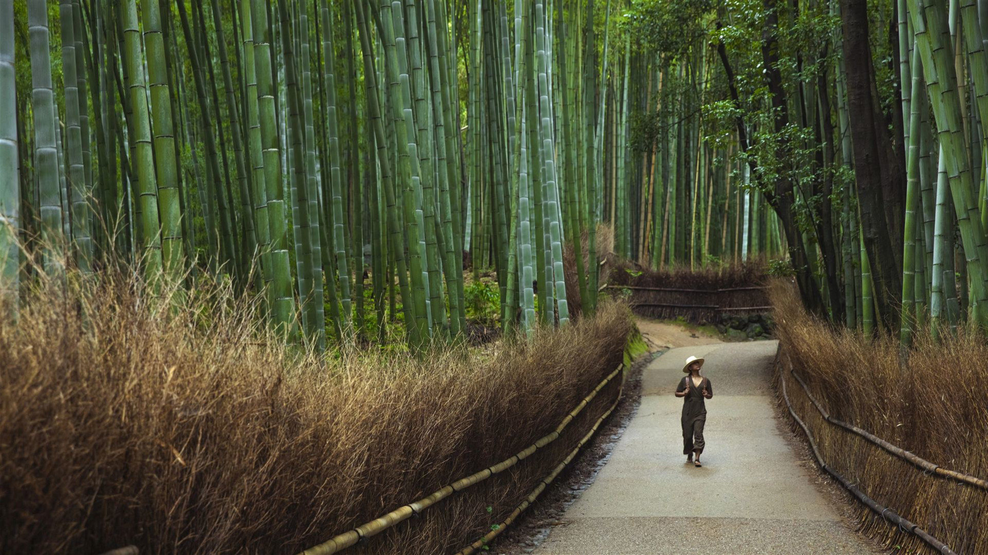 Japan im Alleingang