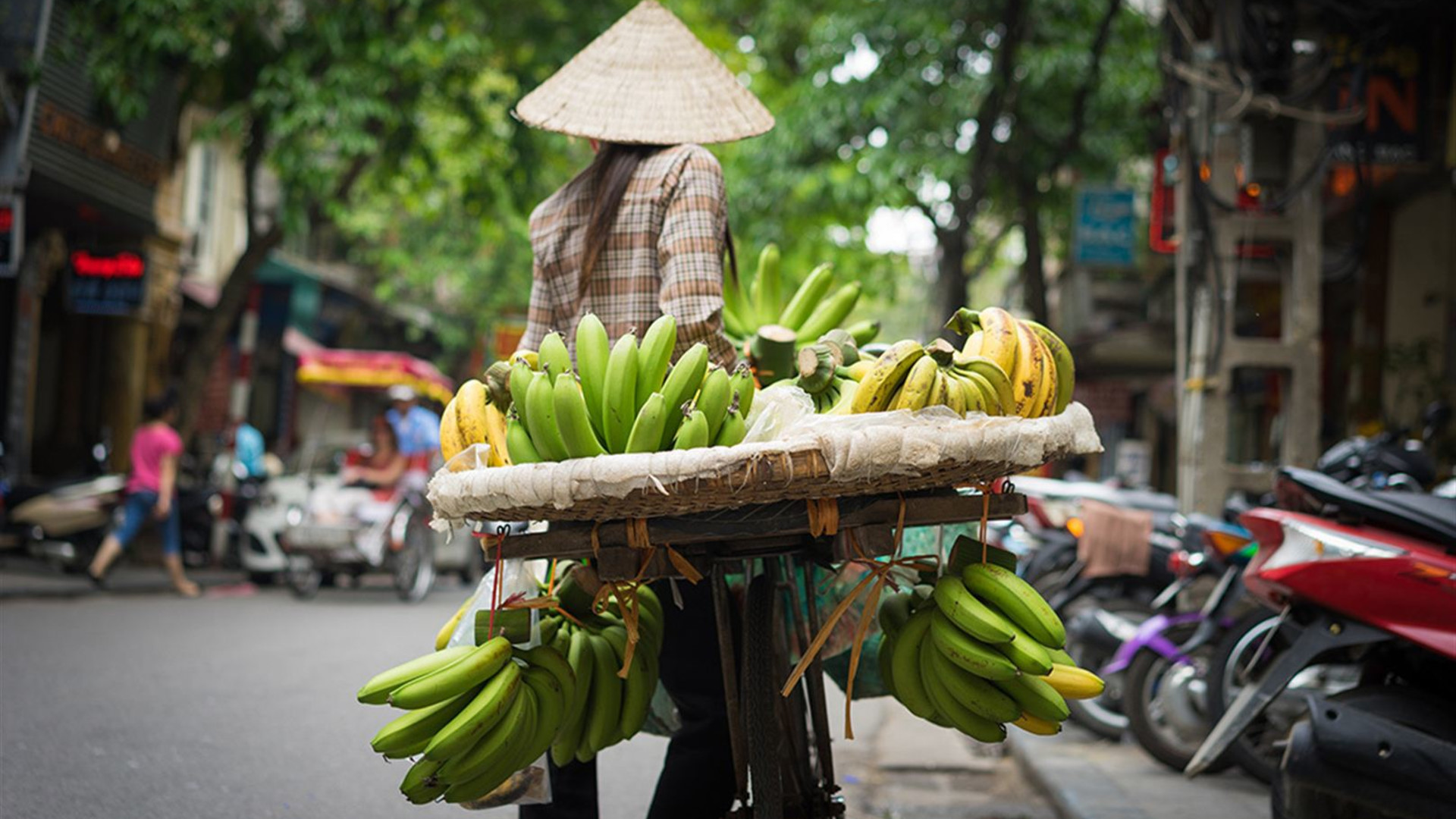 Treasures of Vietnam