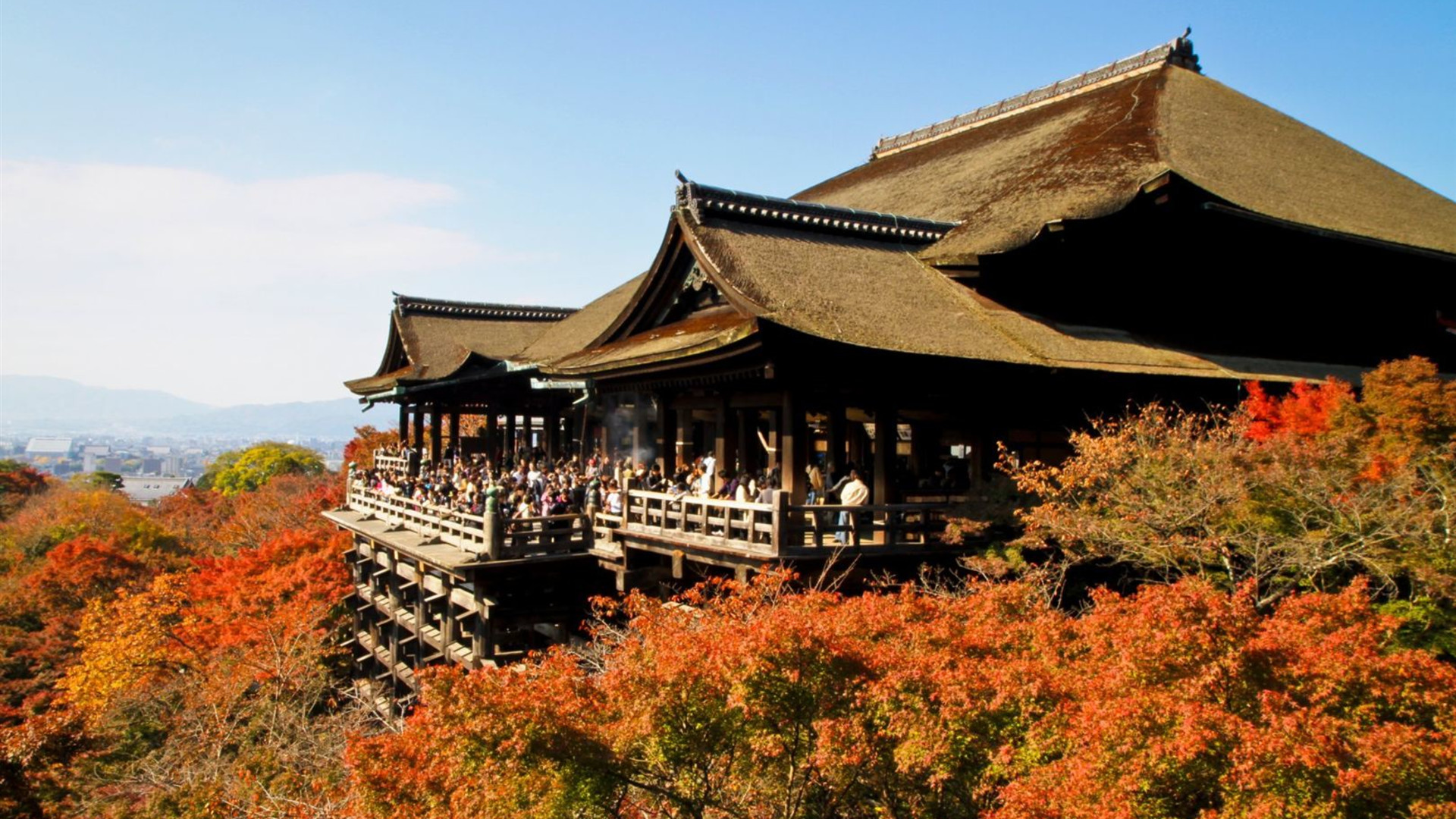 Von Seoul nach Osaka: Strände und Großstädte
