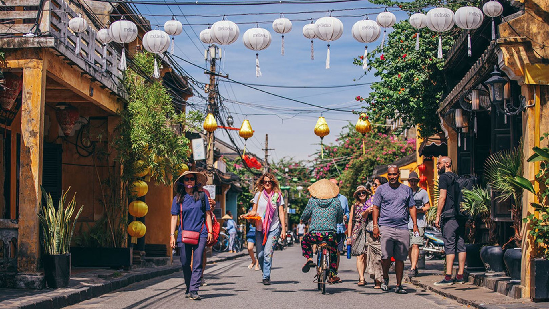 Premium Vietnam in Depth