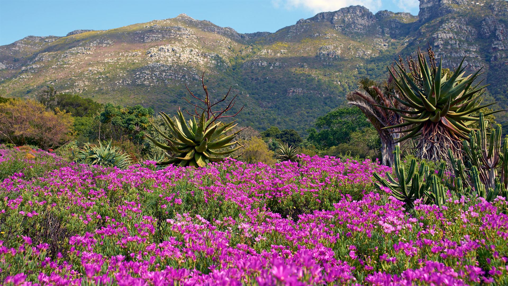 Journeys: Southern Africa Highlights