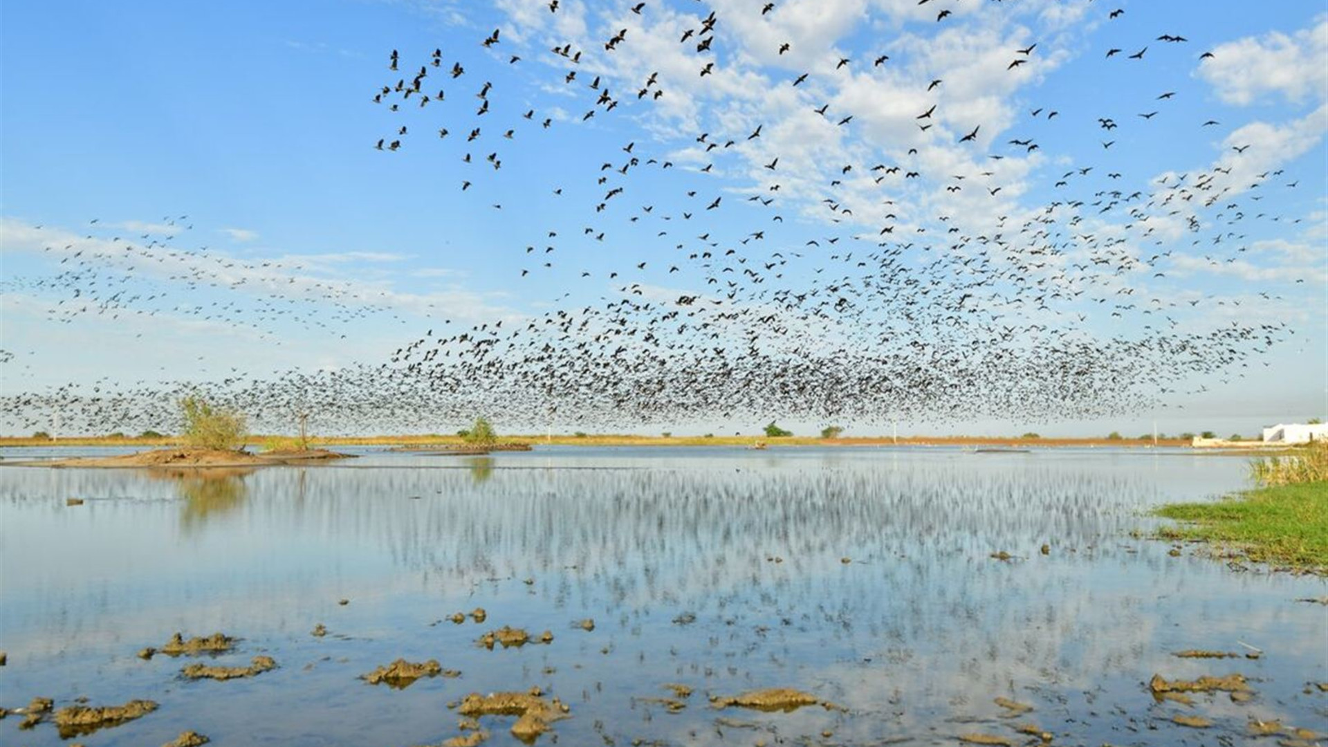 Senegal & The Gambia Adventure