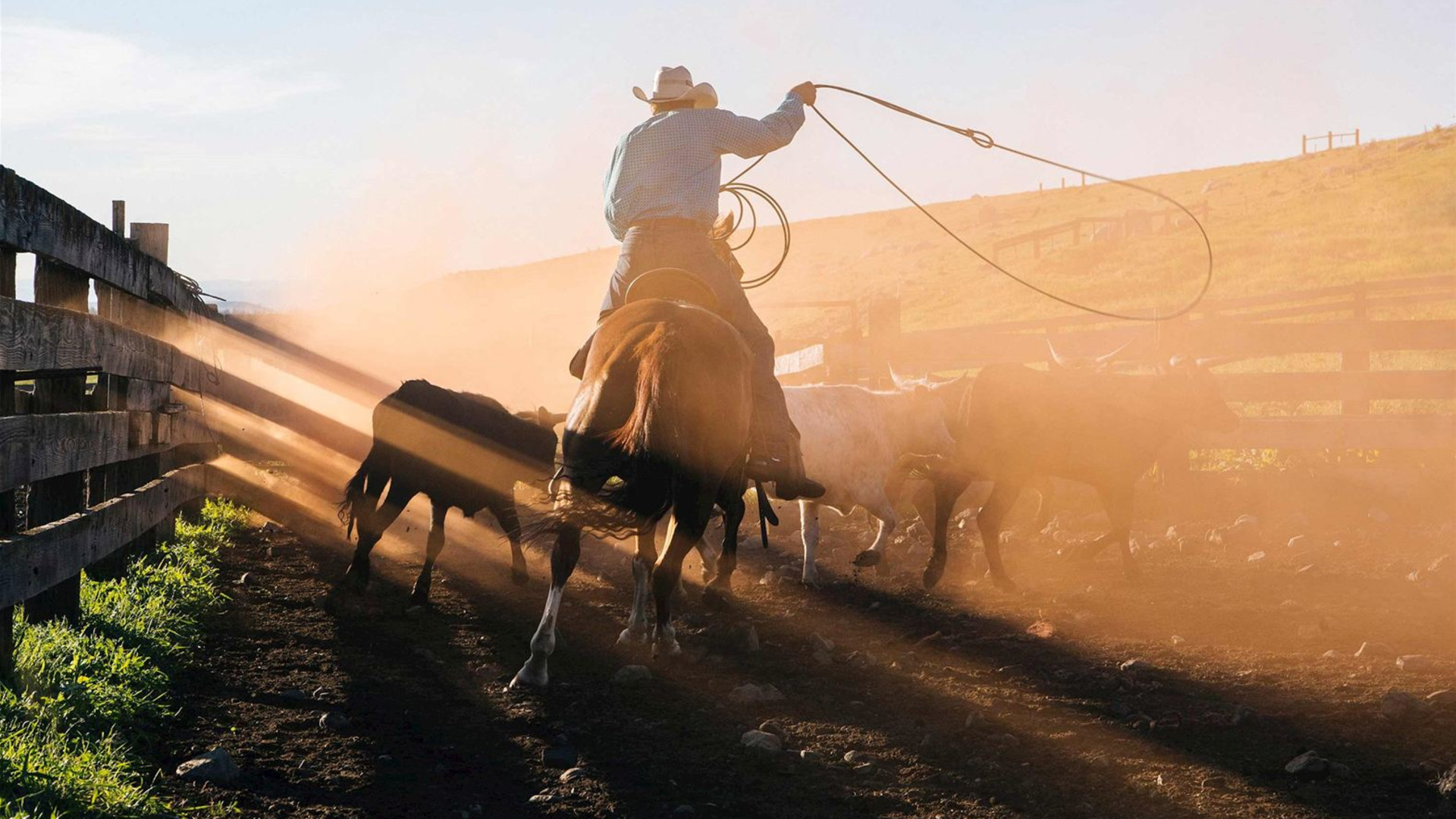 Western Frontiers