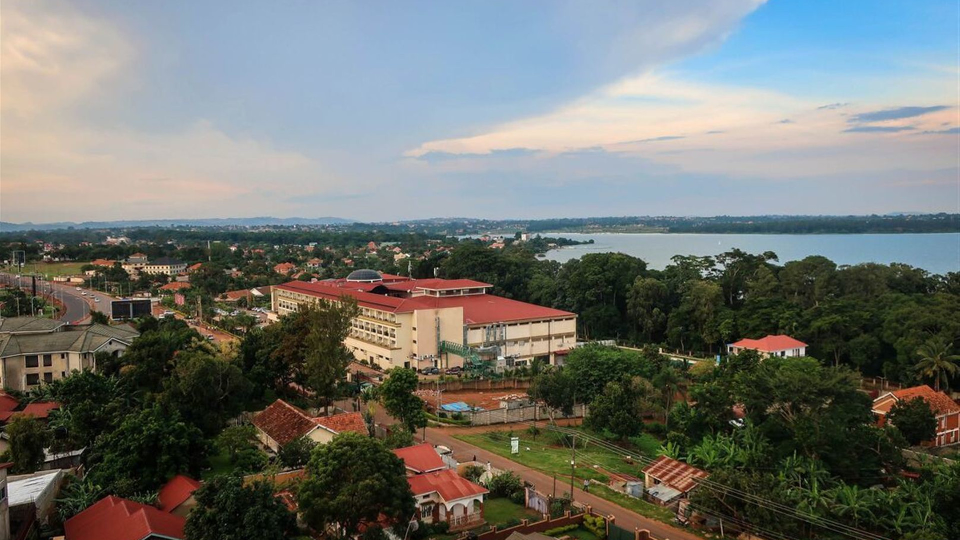 Essential Uganda: Gorillas and Chimps