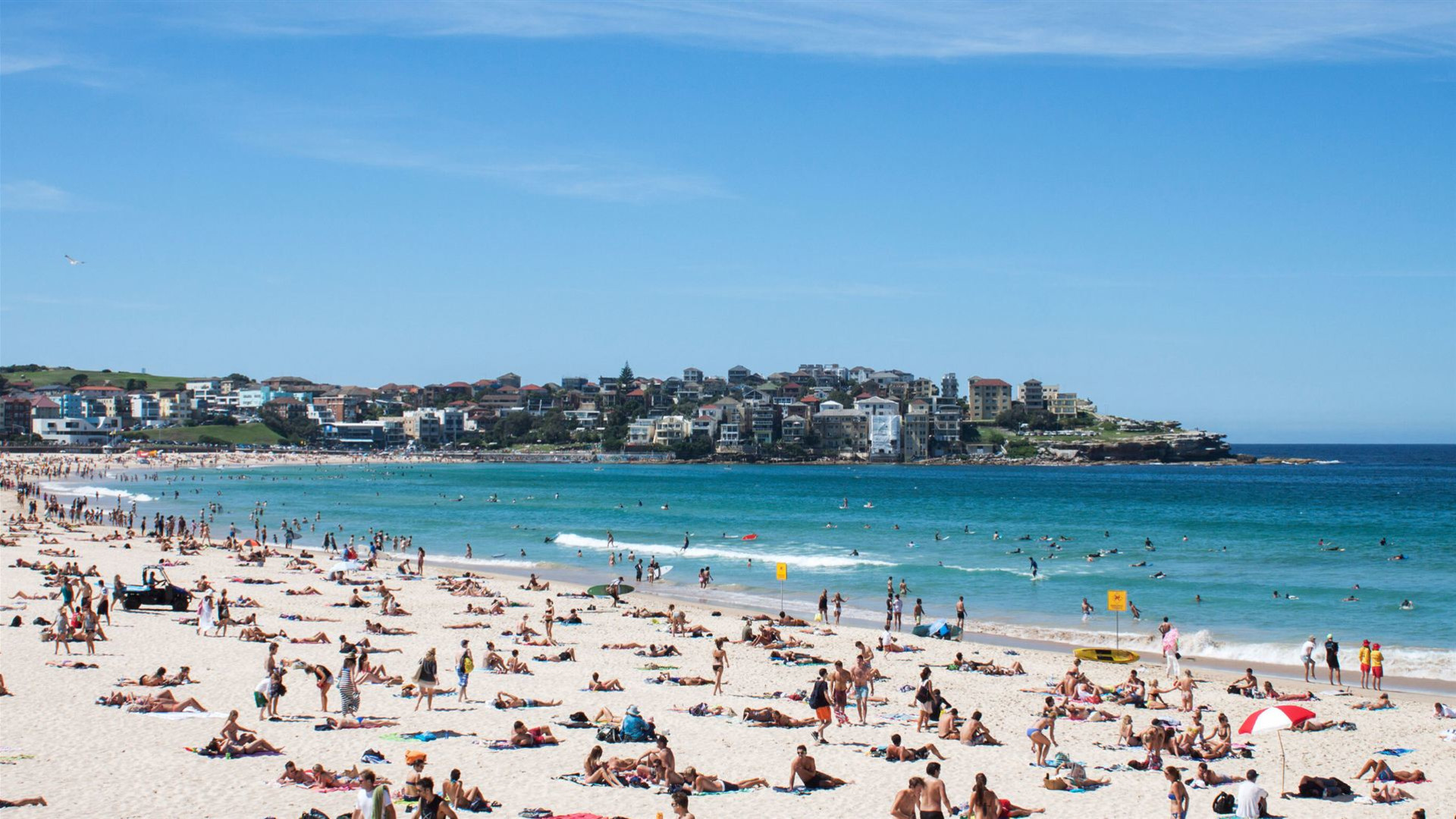 Australia & New Zealand:  A Month Down Under