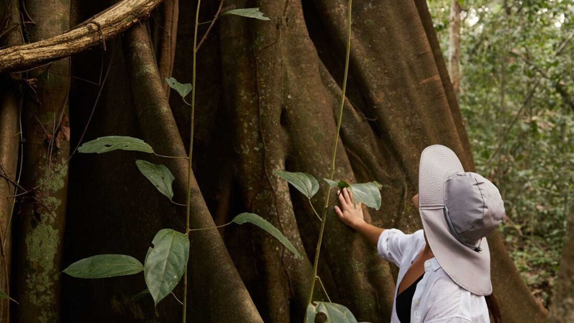 Premium Peru in Depth with Ica Valley