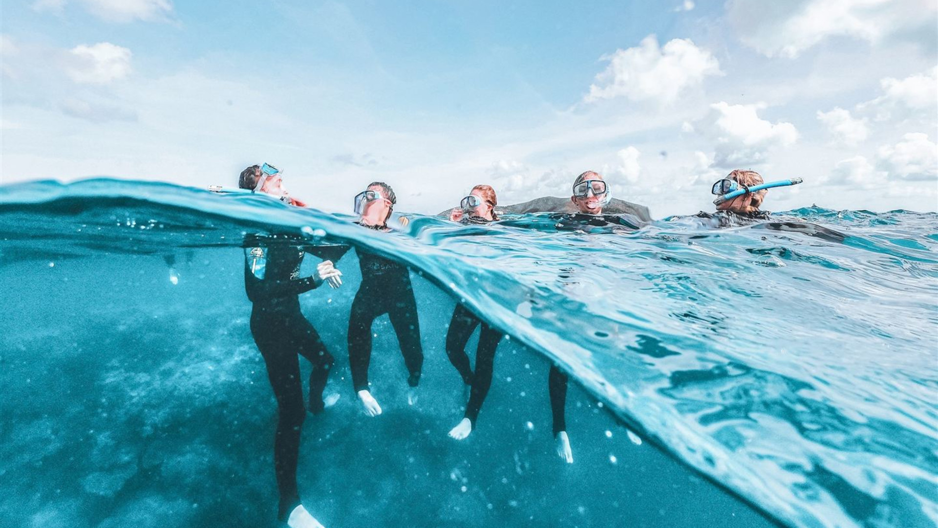Great Barrier Reef Explorer
