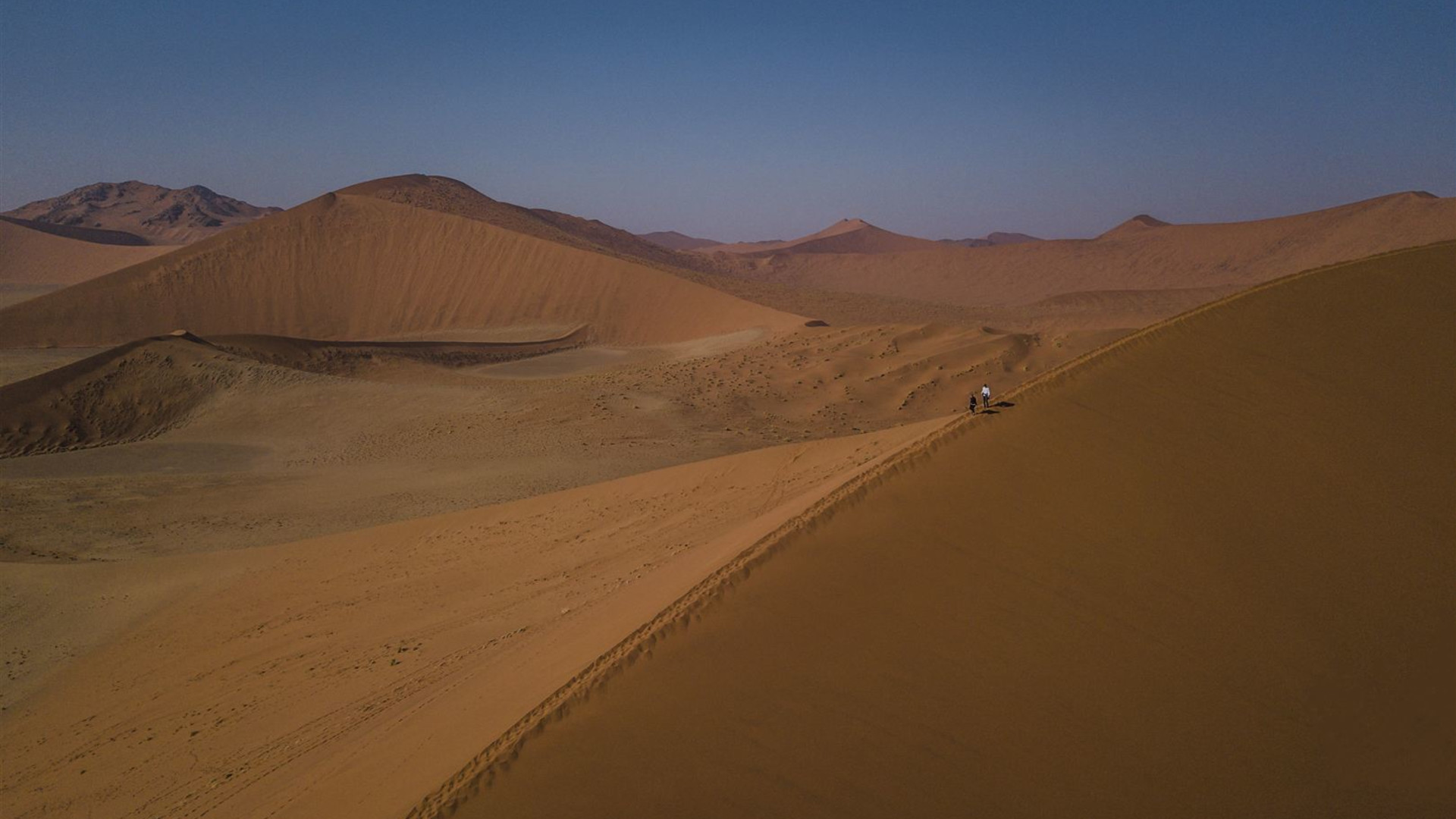 Ultimatives Afrika – Safarifahrten & Savannen