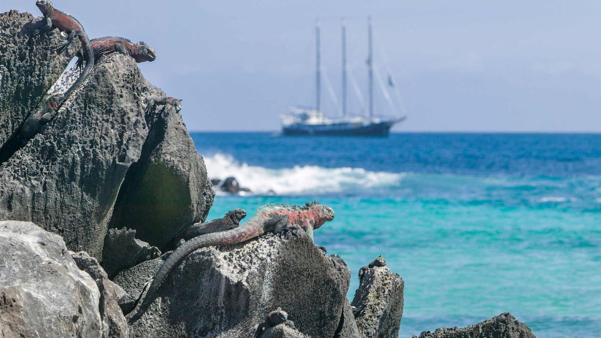 South America Revealed