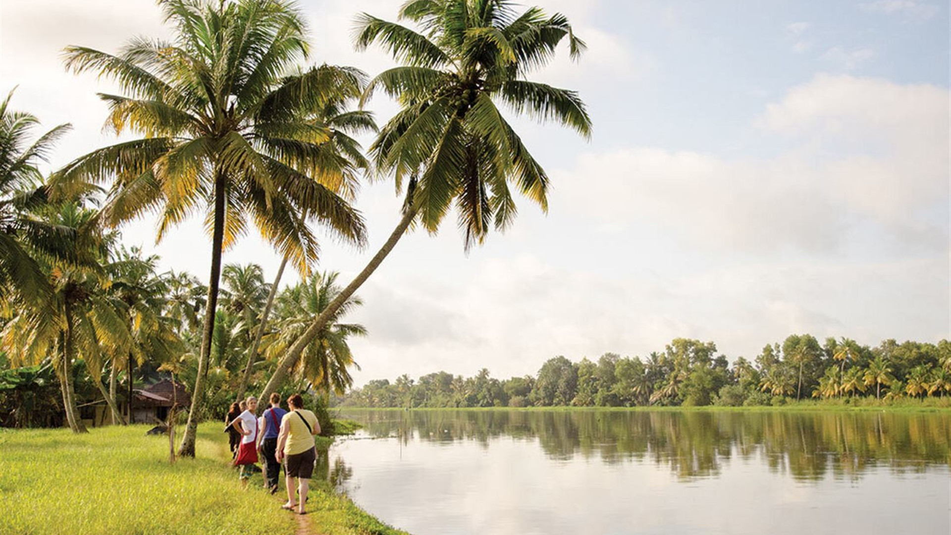 Premium South India