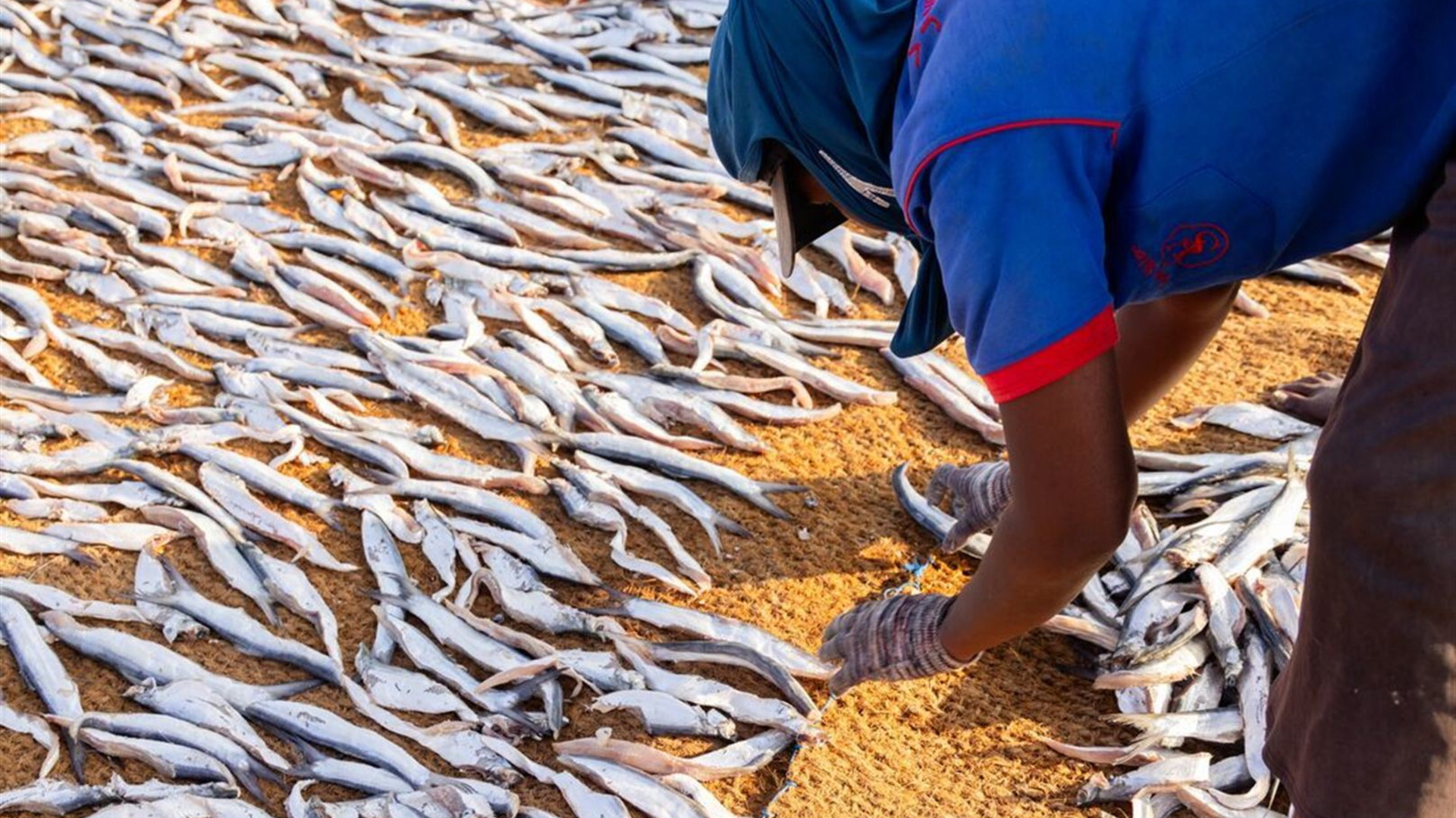 Premium Sri Lanka in Depth