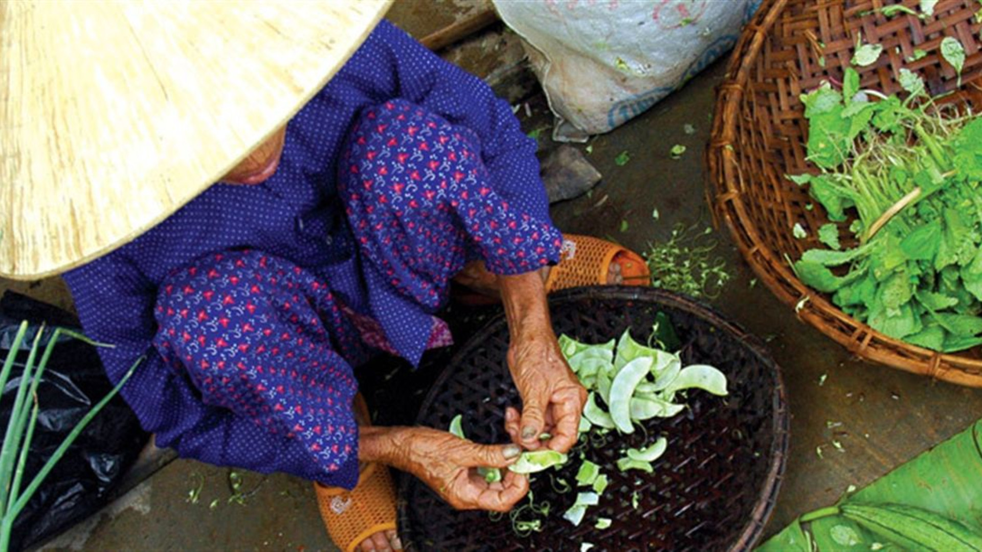 Vietnam & Cambodia Real Food Adventure