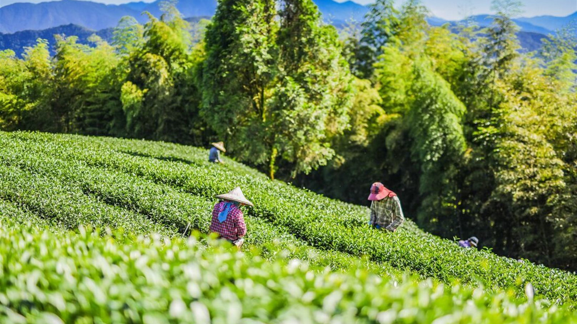 Explore Taiwan