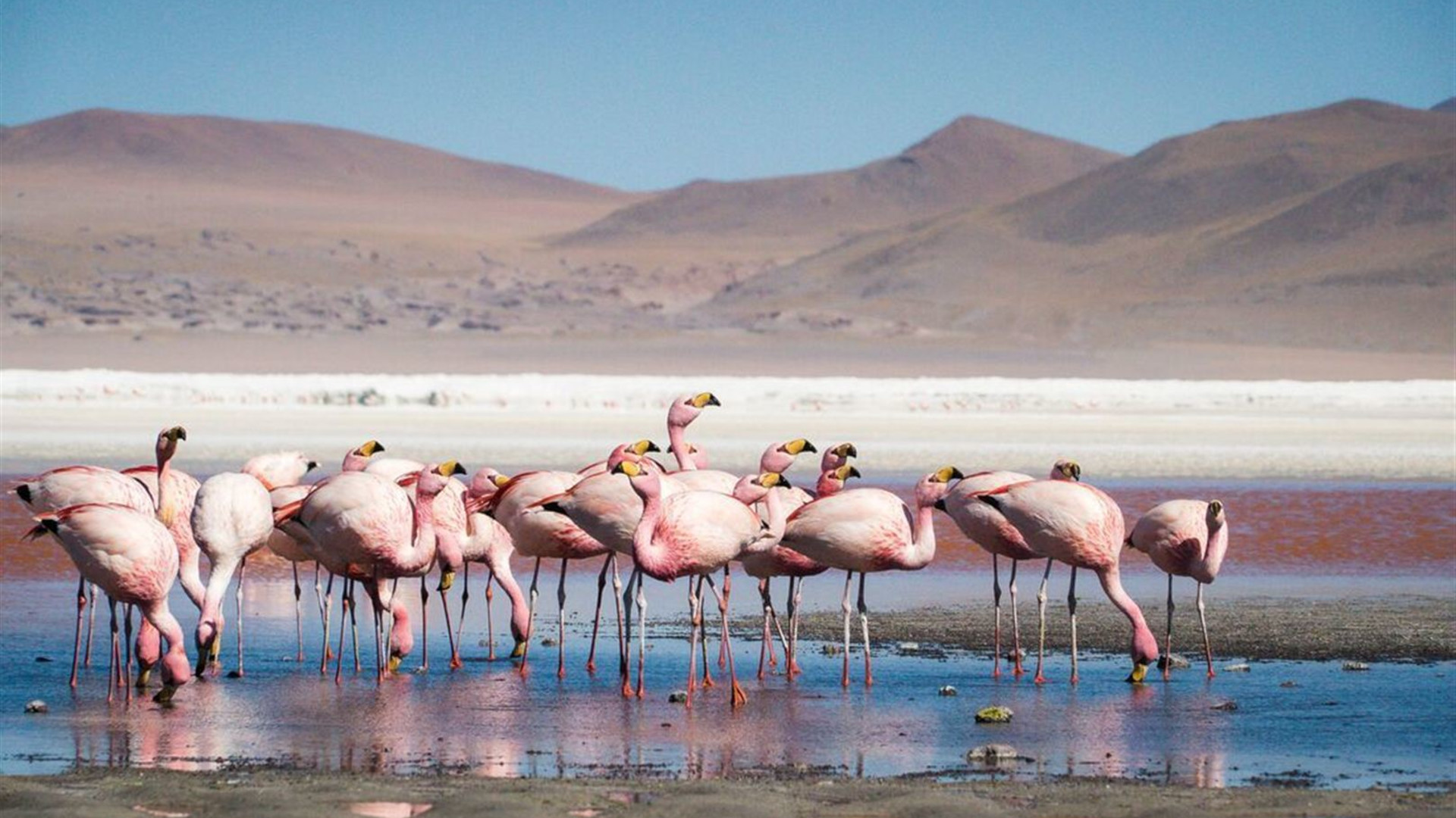 Explore Peru & Bolivia