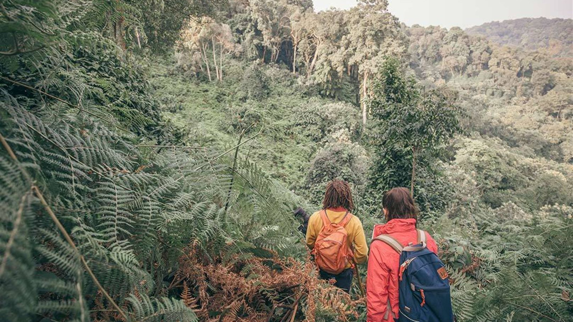 Premium Rwanda & Gorillas of Uganda