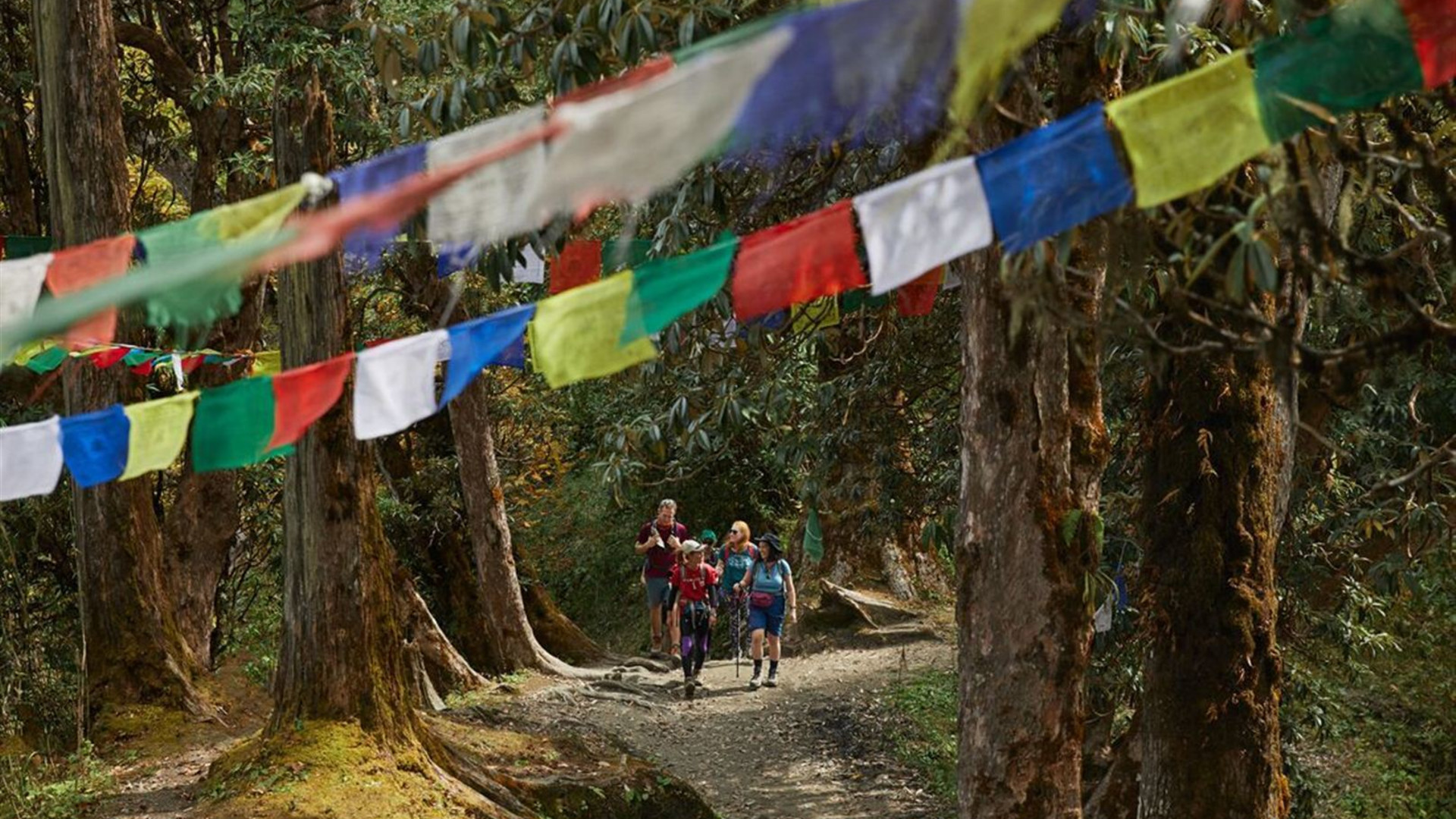 Essential Nepal
