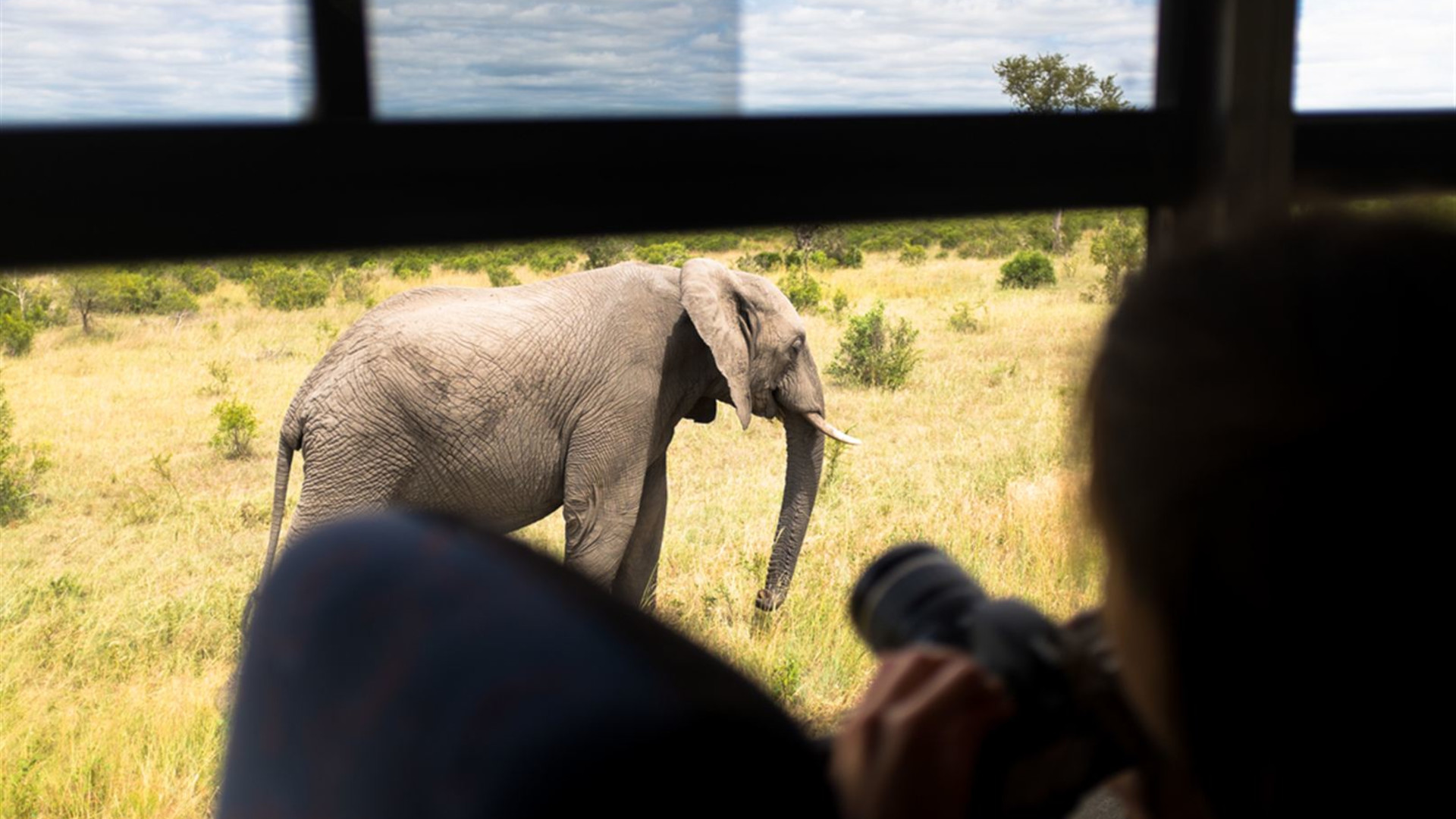 South Africa Family Safari with Teenagers