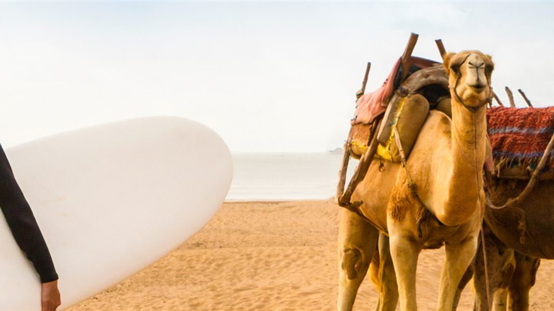 18 to 35s Five Days in Morocco
