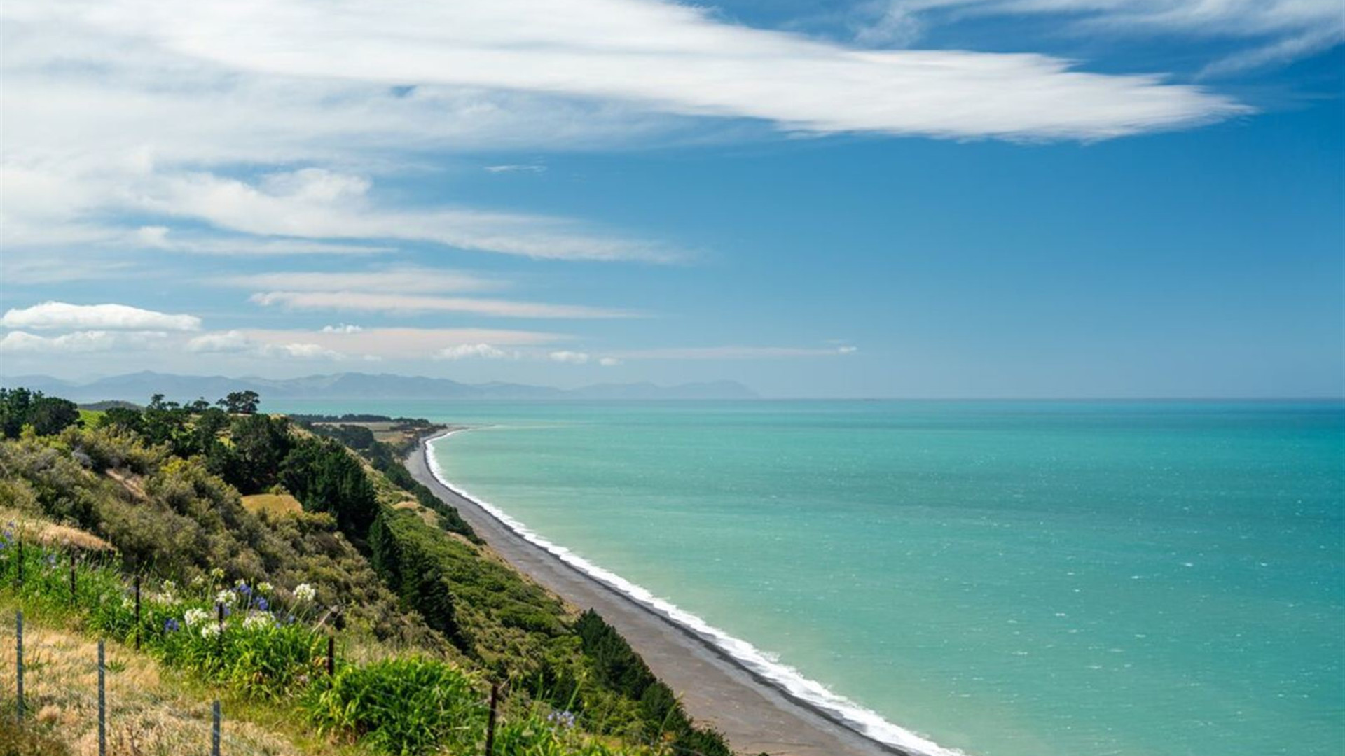 New Zealand Amplified (Northbound)