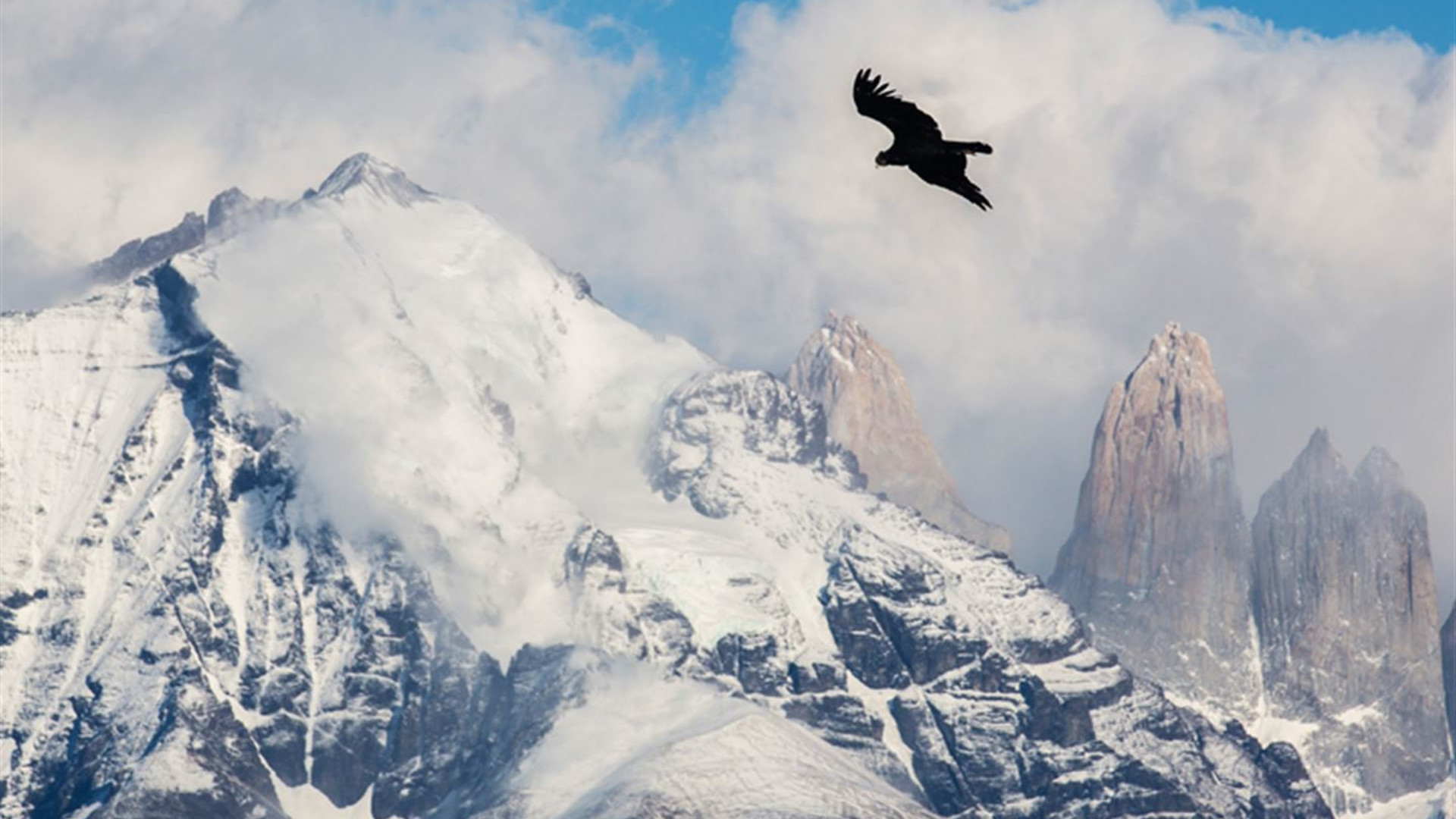 Patagonia: Torres del Paine & Los Glaciares National Park