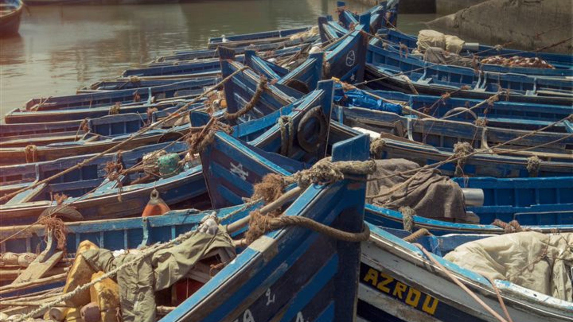 Southern Morocco: The Sahara, The Coast & Marrakech