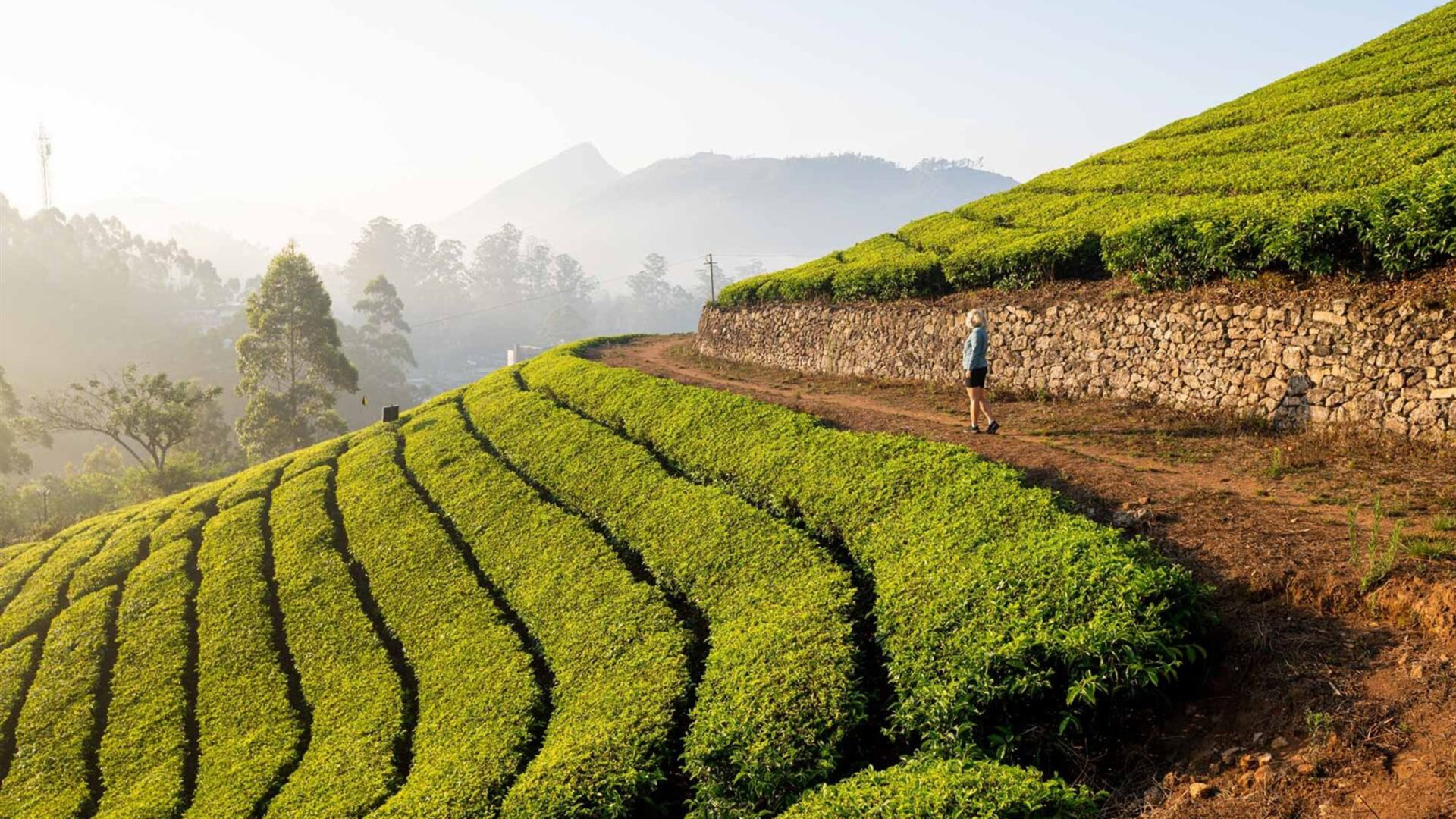 South India Revealed