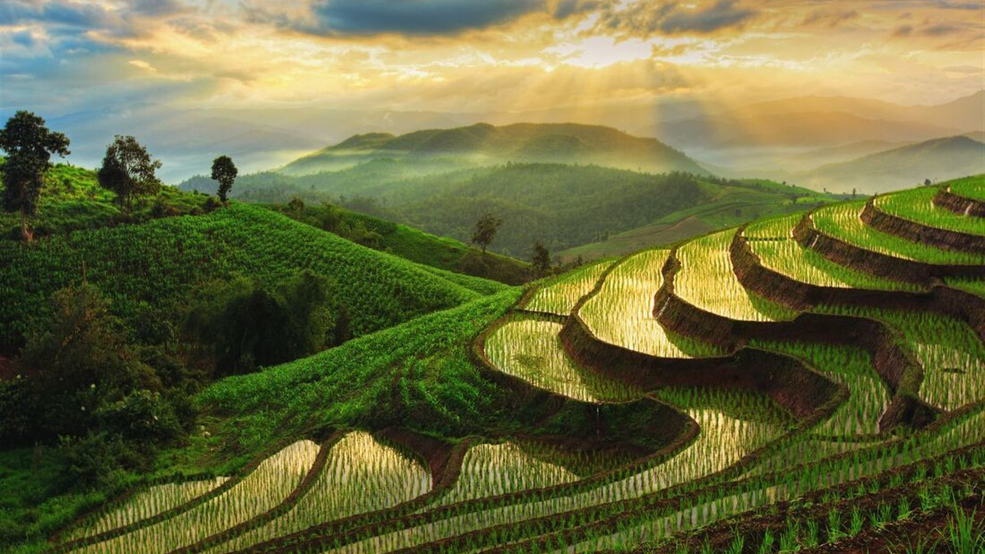 Thailand & Laos Adventure