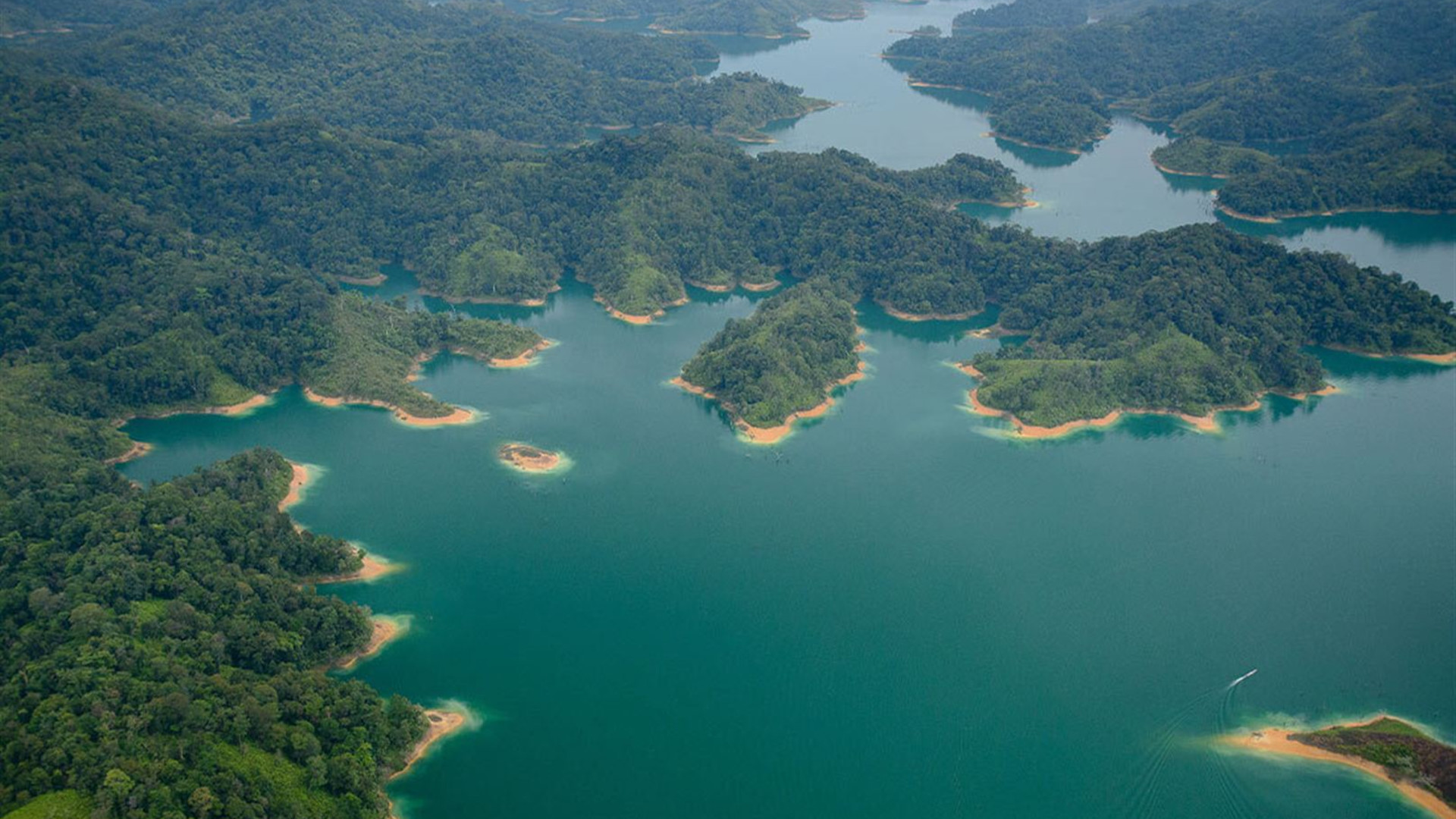 Premium Borneo in Depth