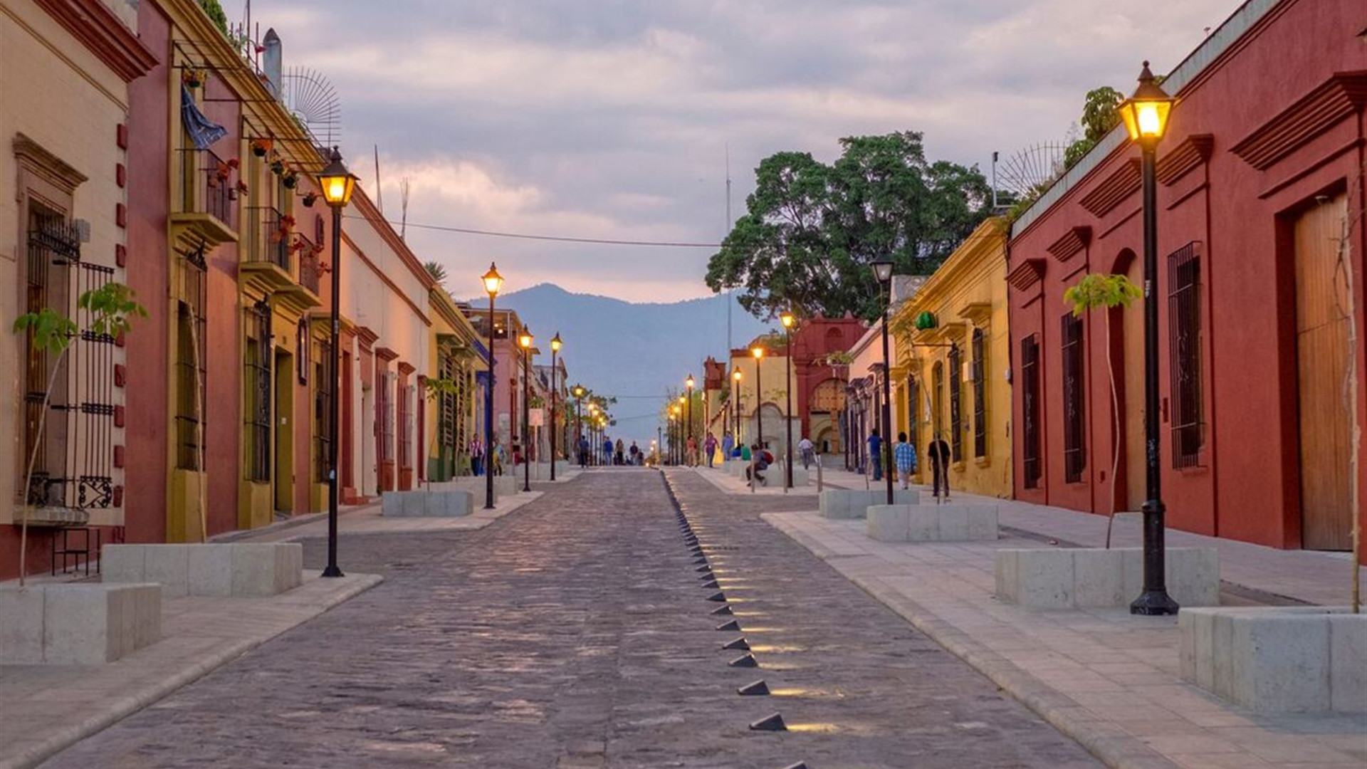 Premium Mexico City to Oaxaca