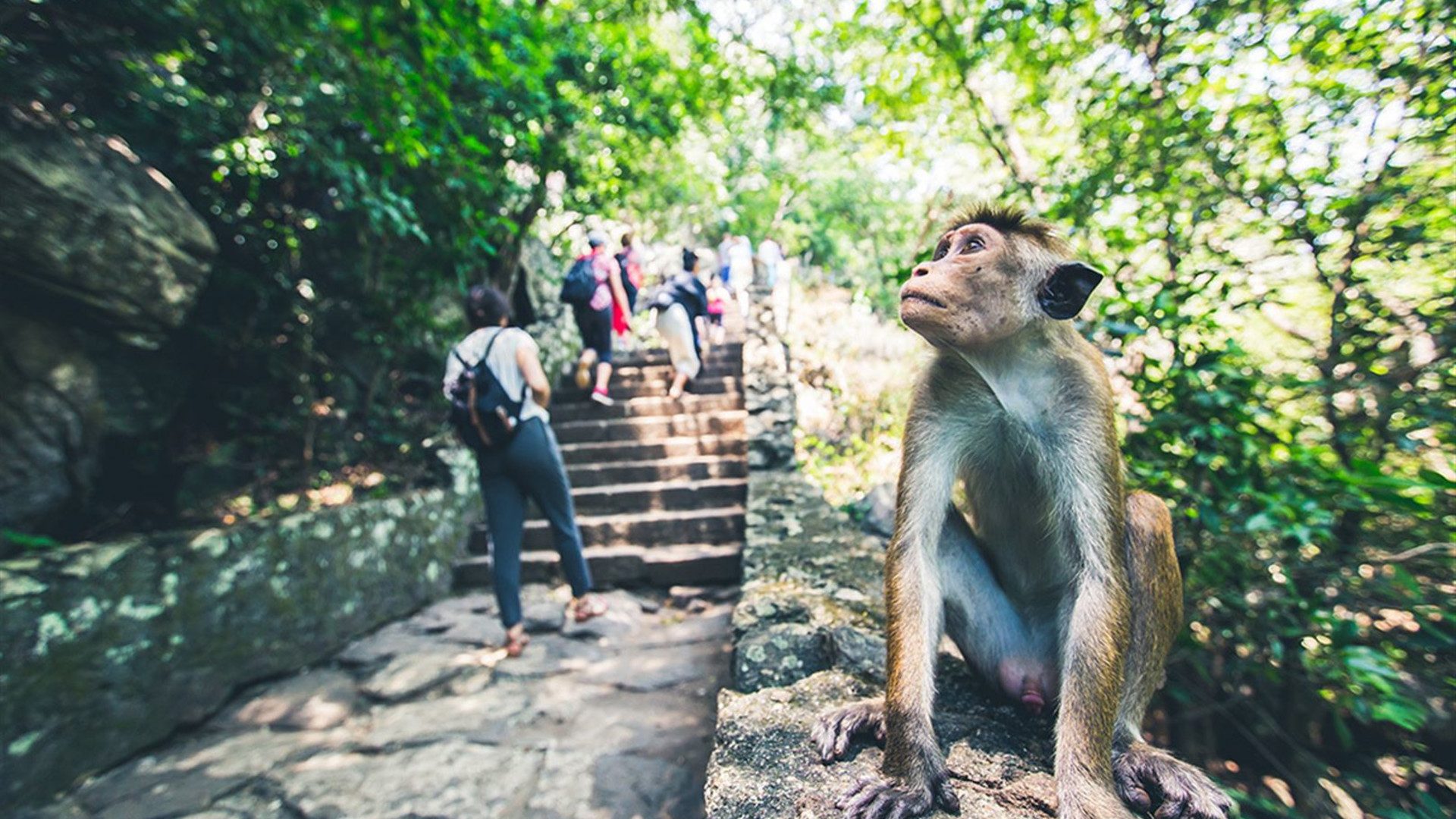 Best of Sri Lanka