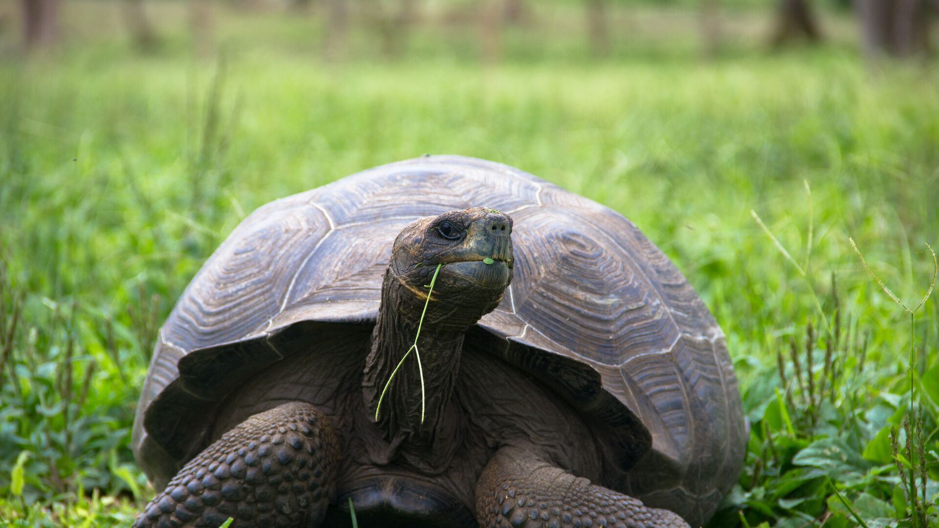 Galapagos Family Holiday