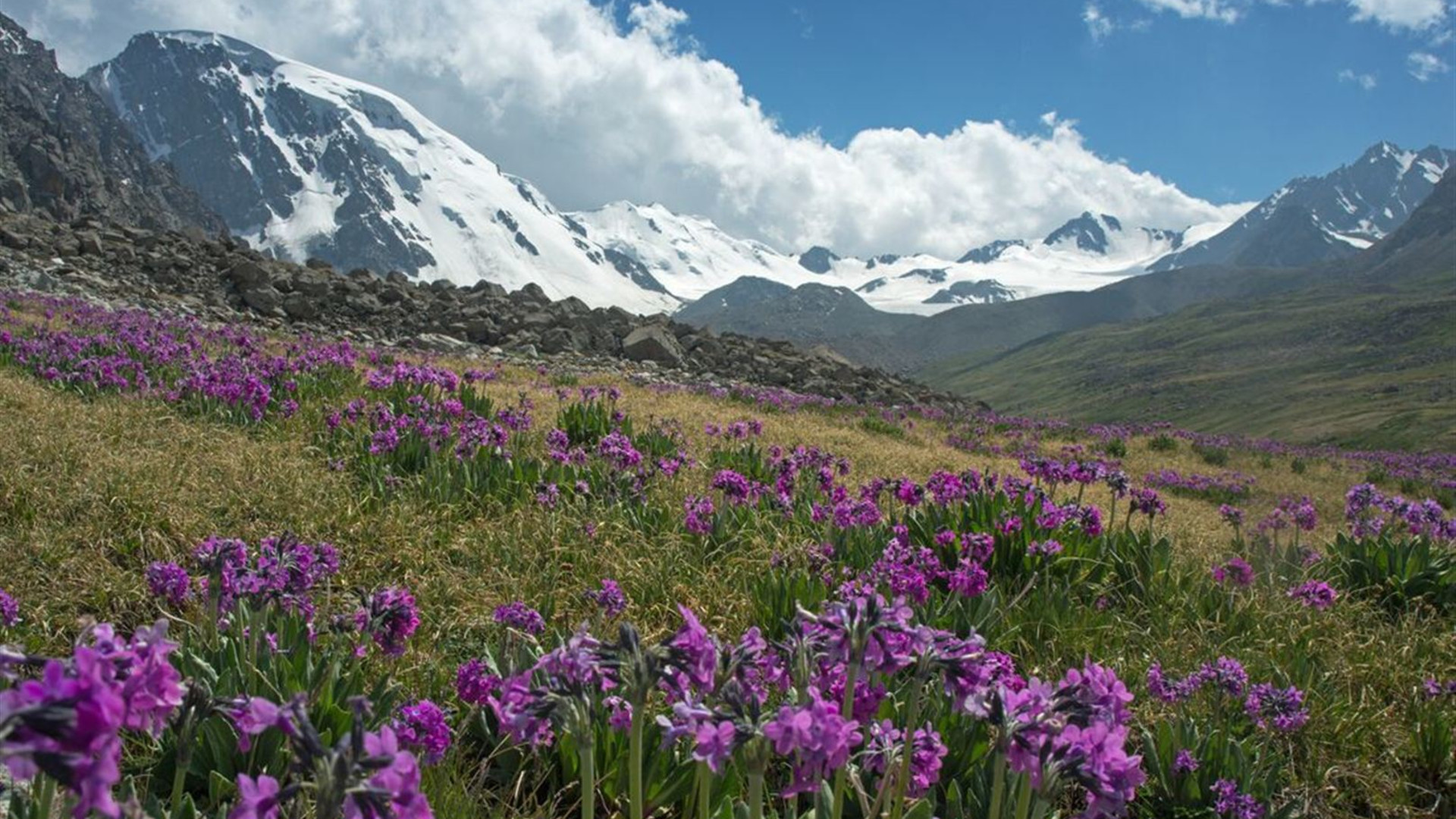 Bishkek to Ashgabat