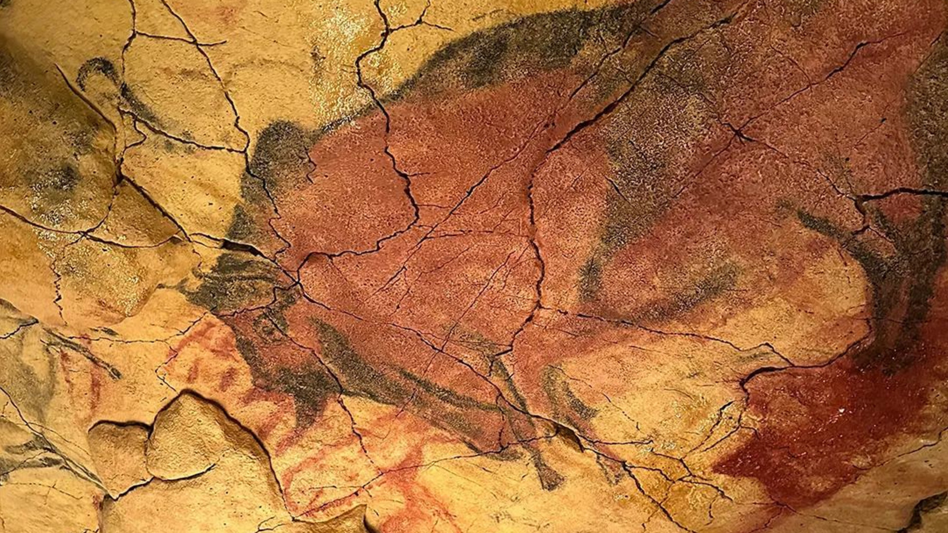 Signature: Northern Spain & the Vineyards of Southwest France