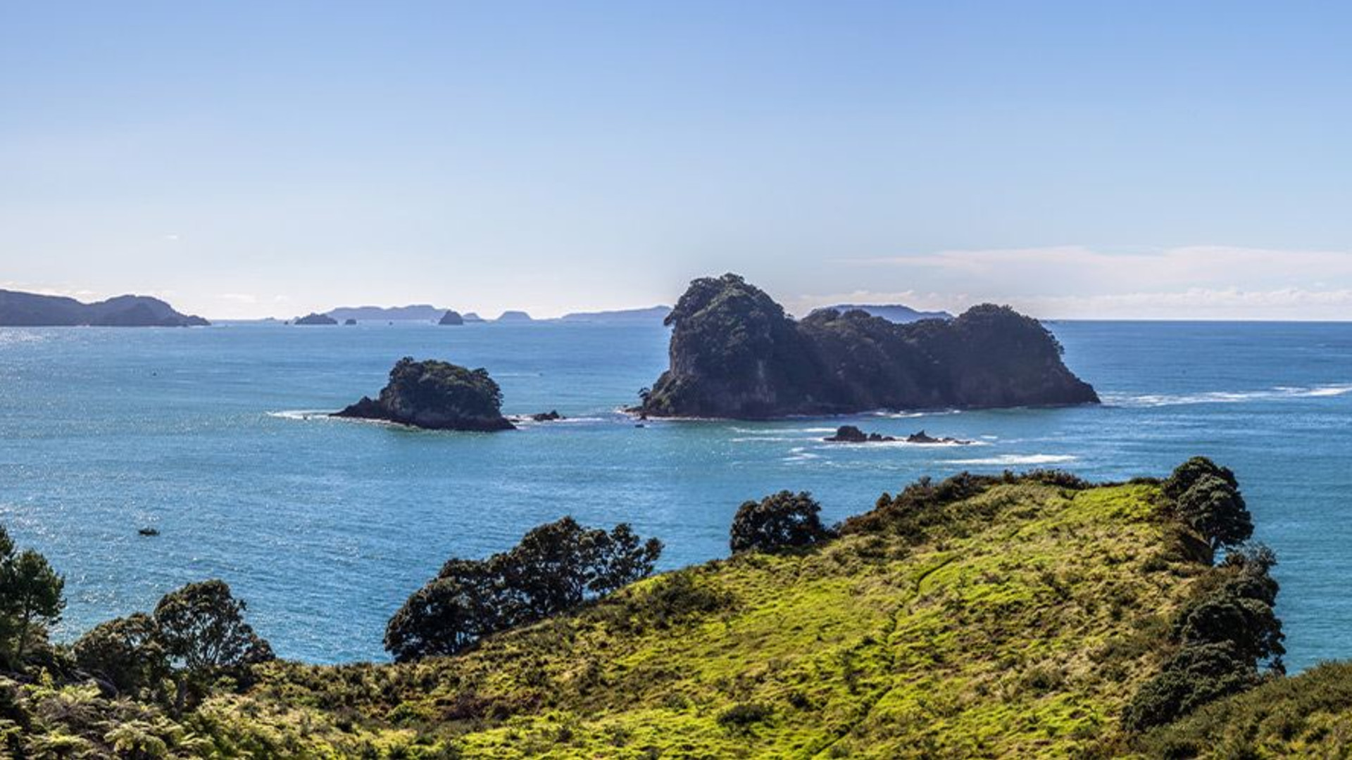 New Zealand North to South Island Adventure