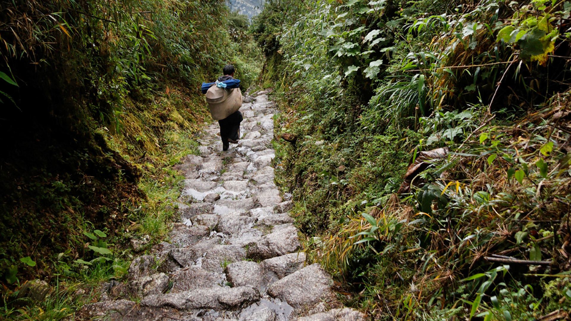 Journeys: Machu Picchu und der Amazonas