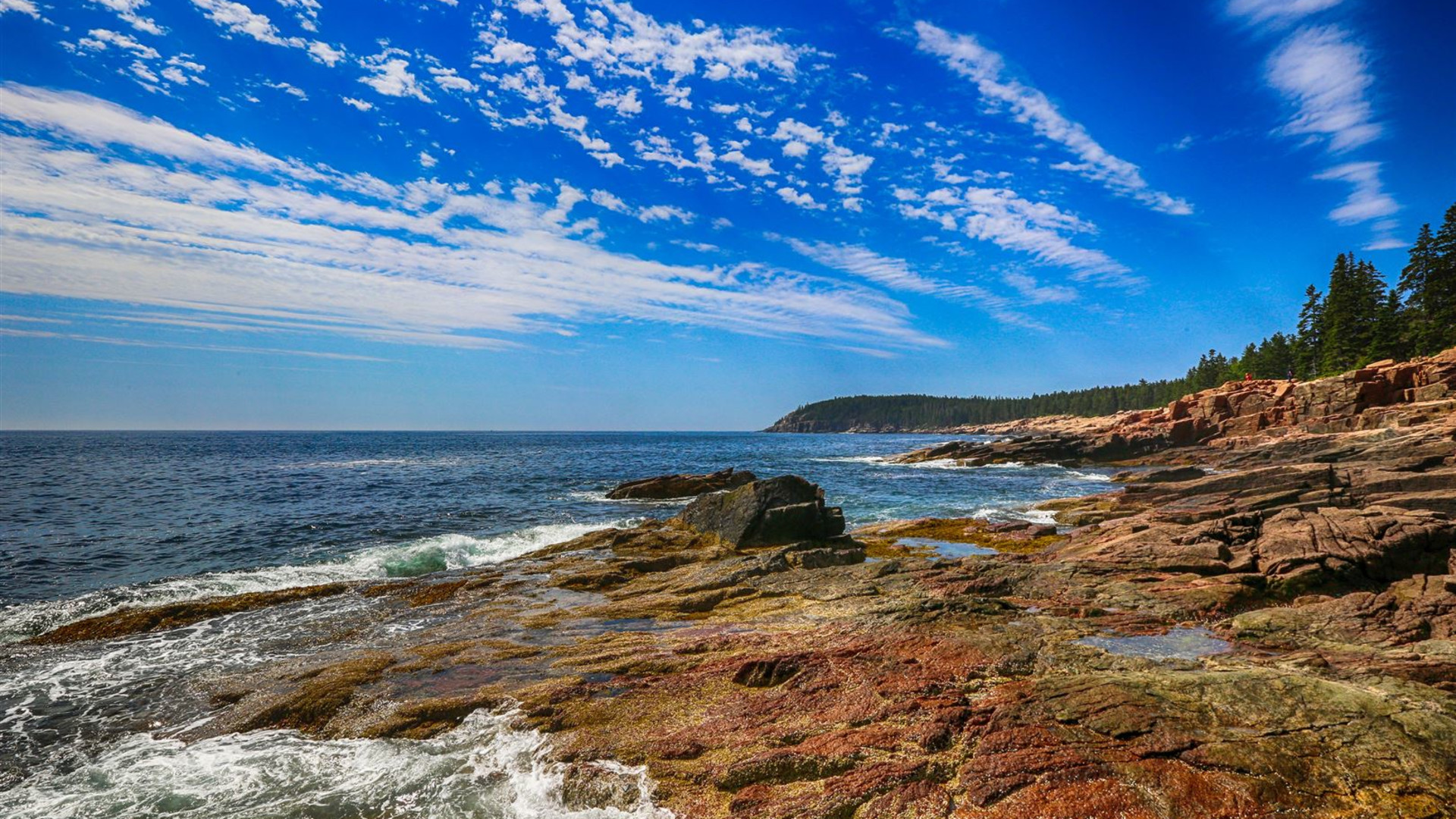 Roaming Coastal Maine