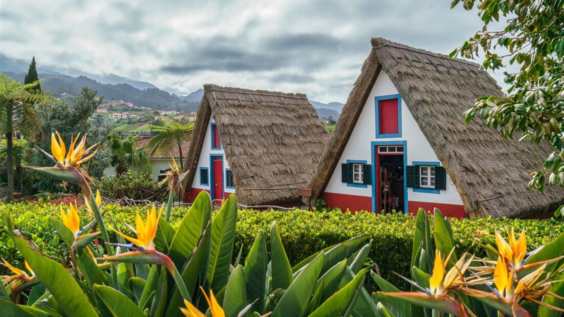 Hiking in Madeira	