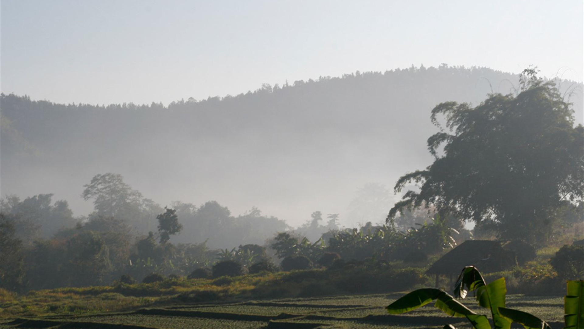 Premium Northern Thailand