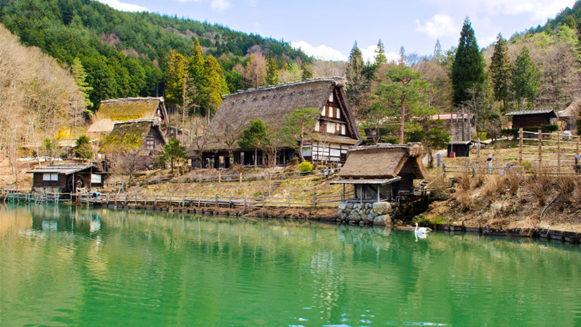 Episches Japan – Shinkansen & Streetfood