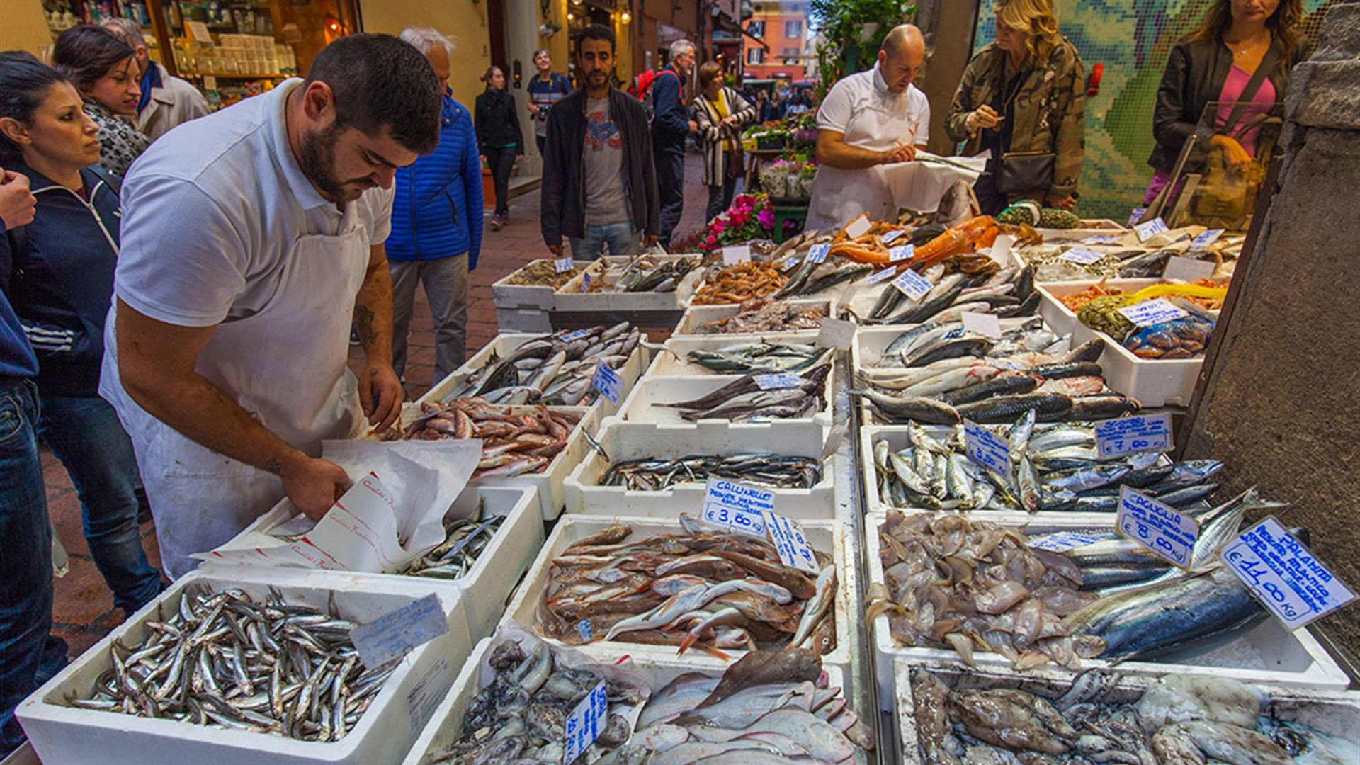 Italy Real Food Adventure