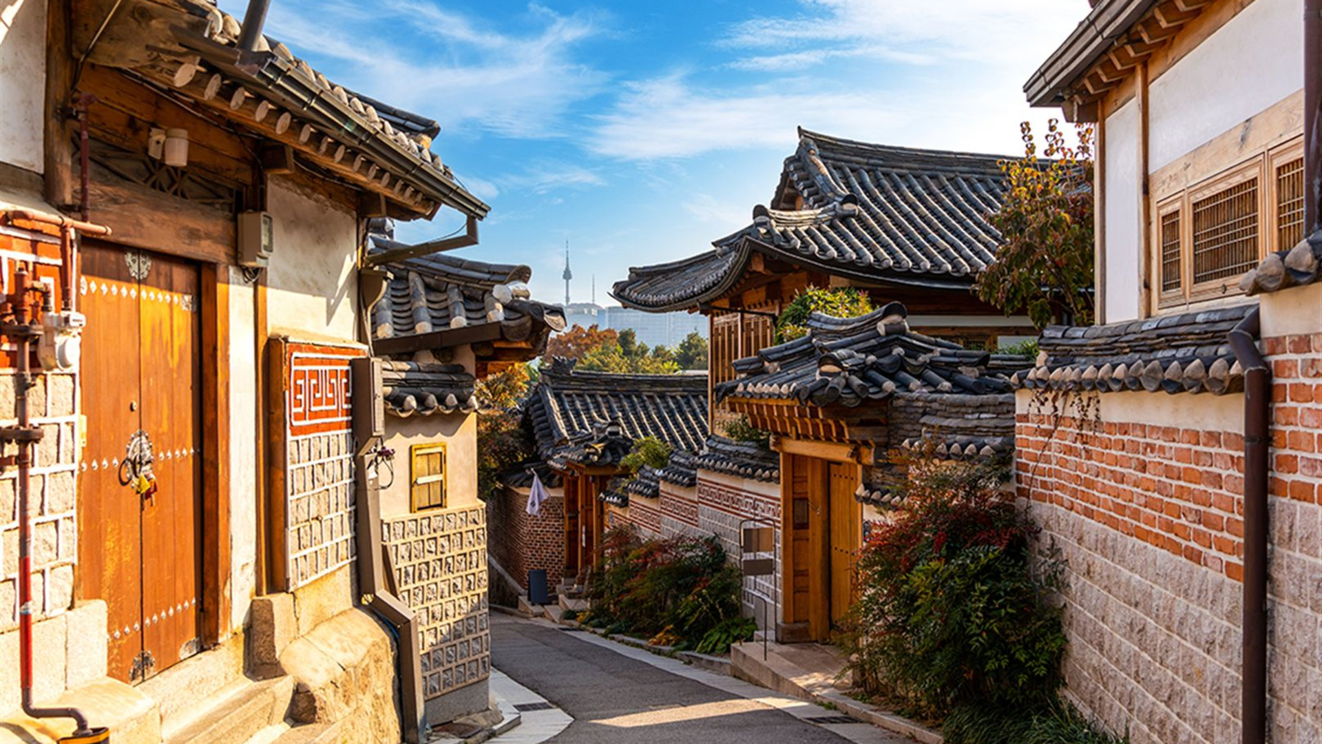 Premium South Korea			