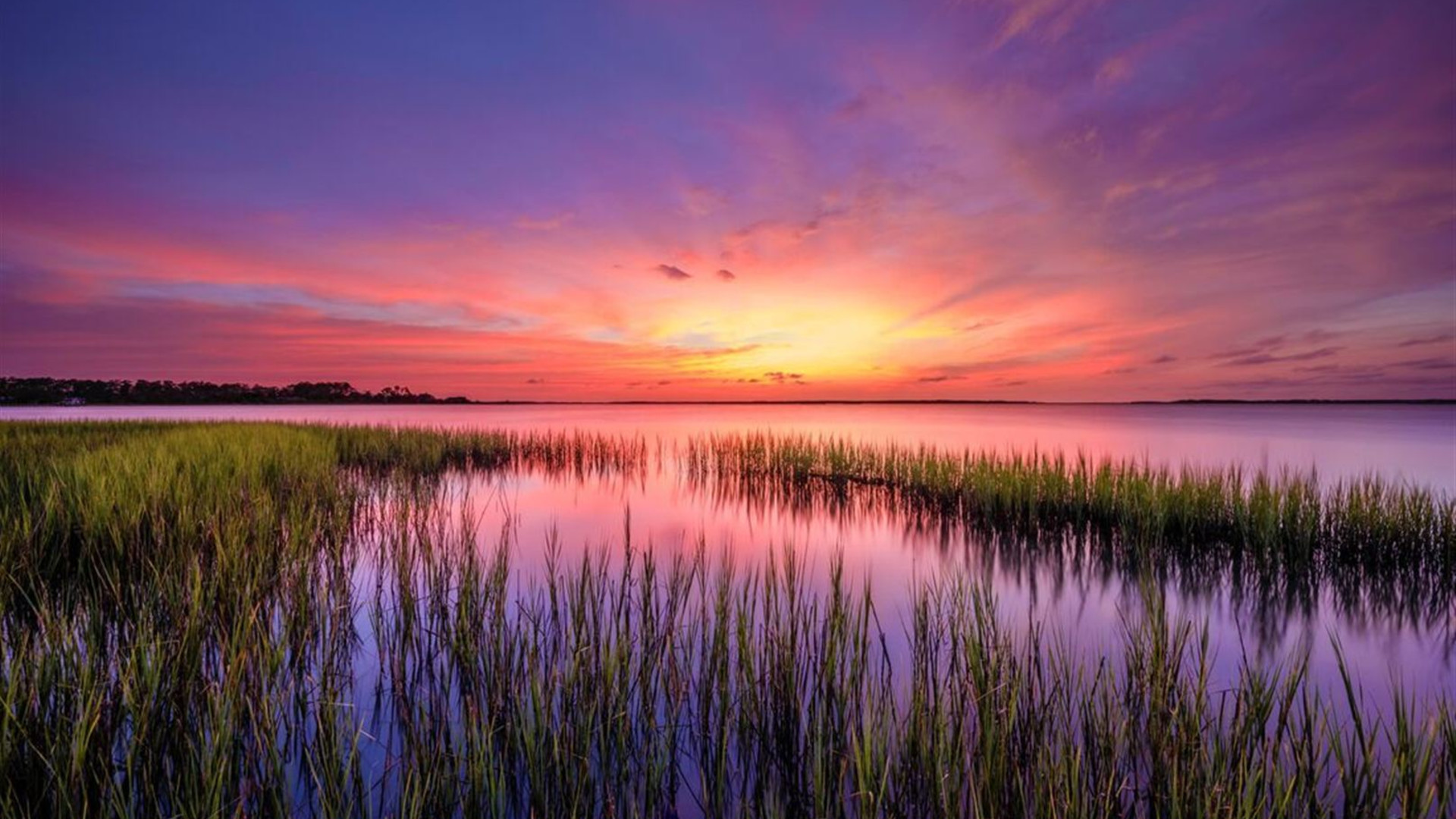 Best of the South: Charleston to New Orleans 