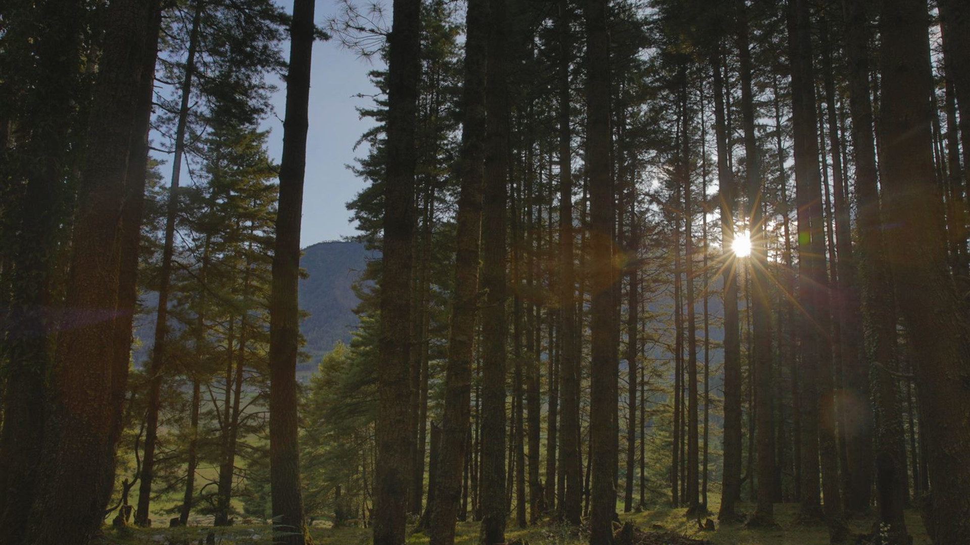 Journeys: Die Wunder von Bhutan
