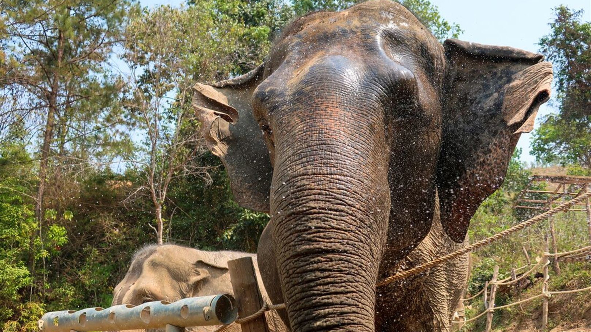 Best of Thailand & Malaysia