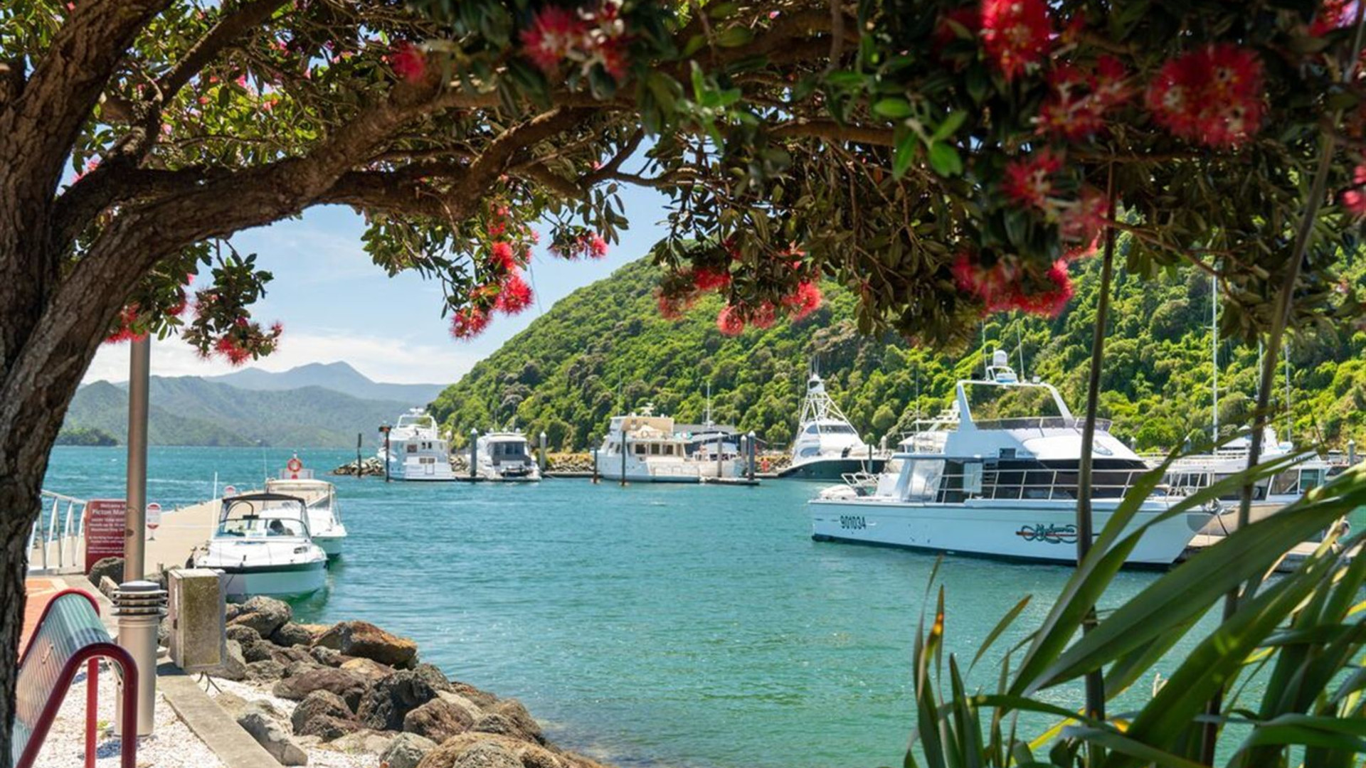 Premium New Zealand Encompassed