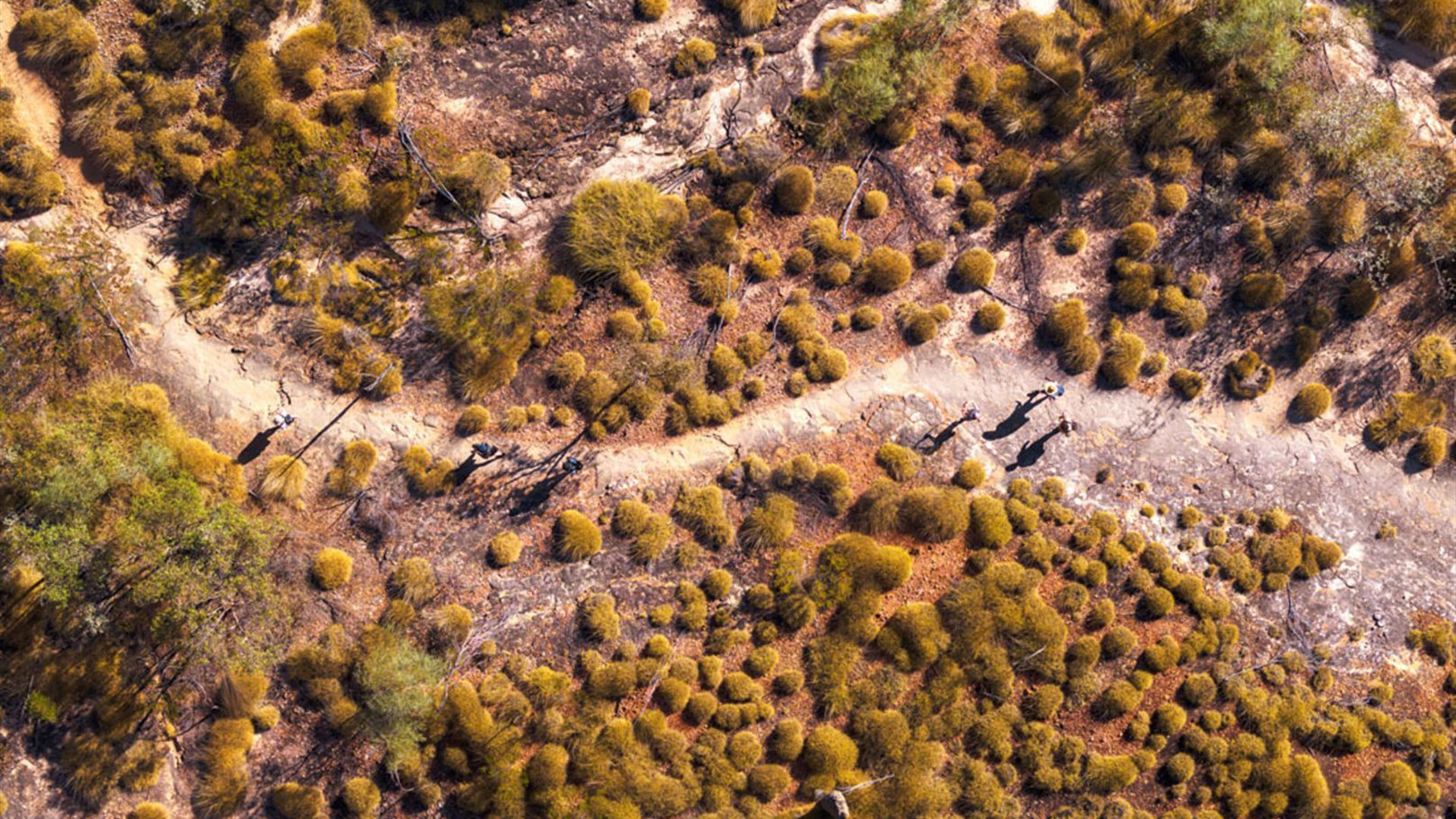 Wild Kimberley Overland 